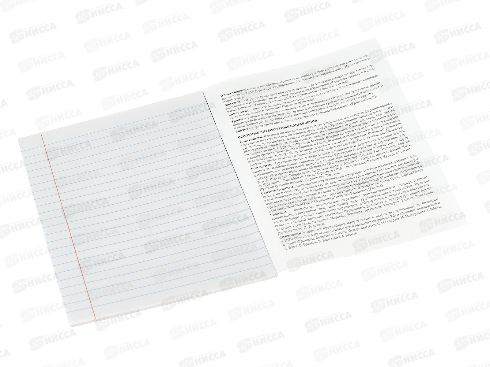 Тетрадь 36л линия Profit &quotМир вокруг&quot Литература, эконом, 36-2395 *80