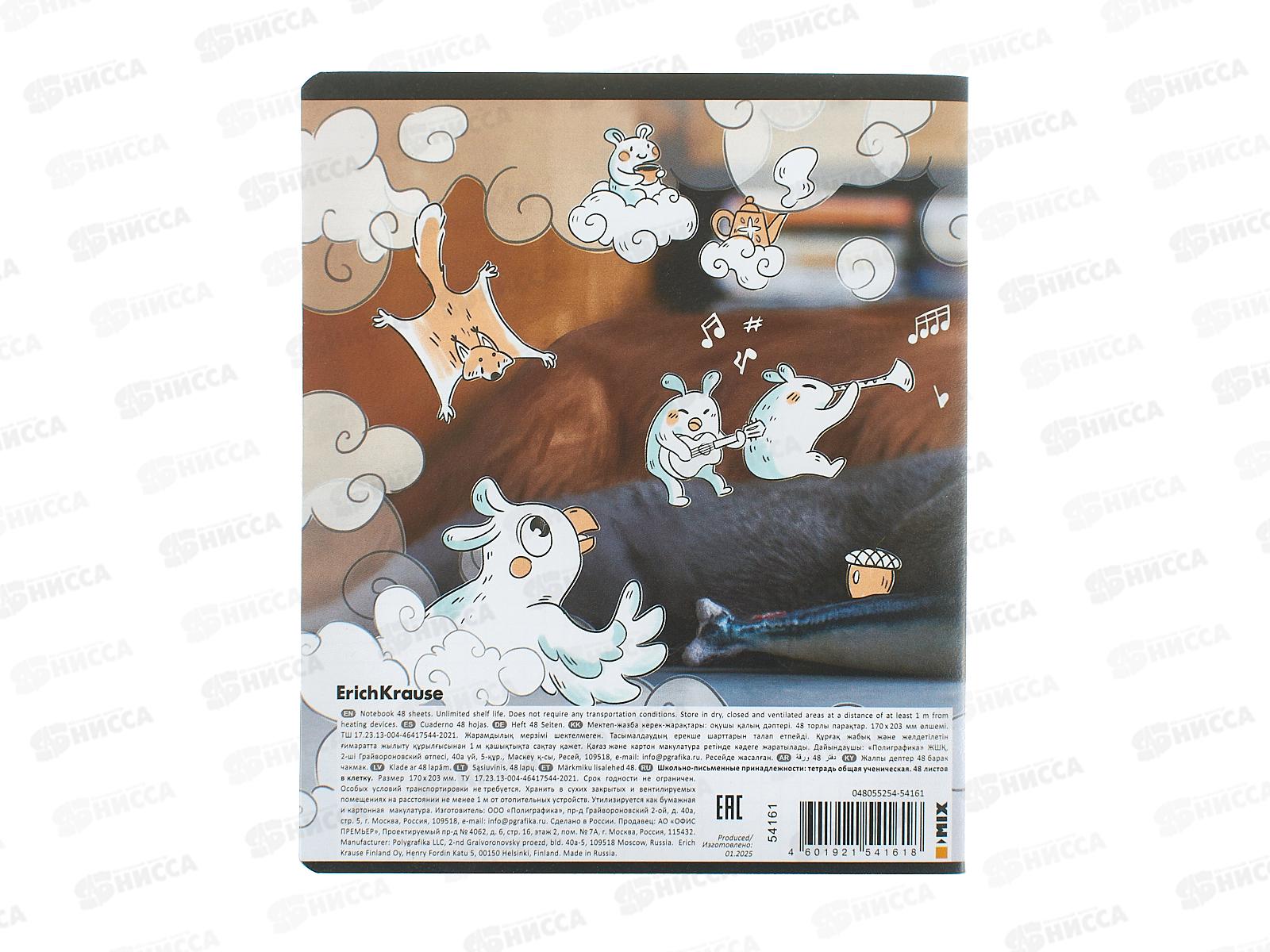 Тетрадь 48л кл. ПОЛИ Dream Cat, с пласт. обложкой 54161 *10/100