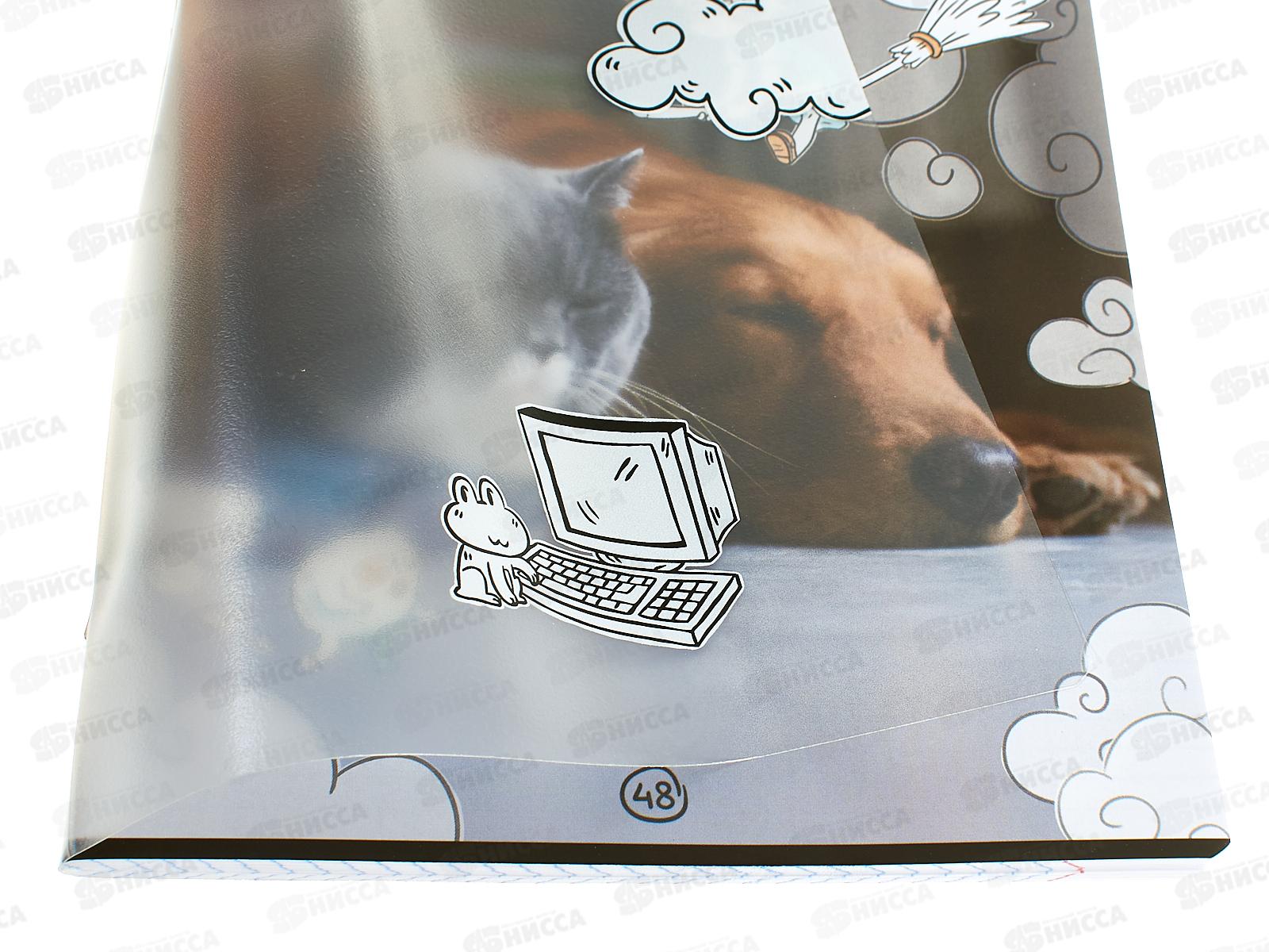 Тетрадь 48л кл. ПОЛИ Dream Cat, с пласт. обложкой 54161 *10/100