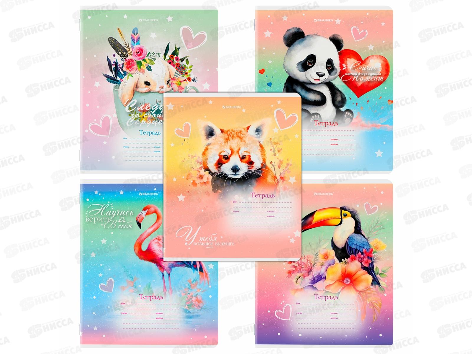 Тетрадь 12л кл. BRAU Зверушки, мел., 107264 *25/300