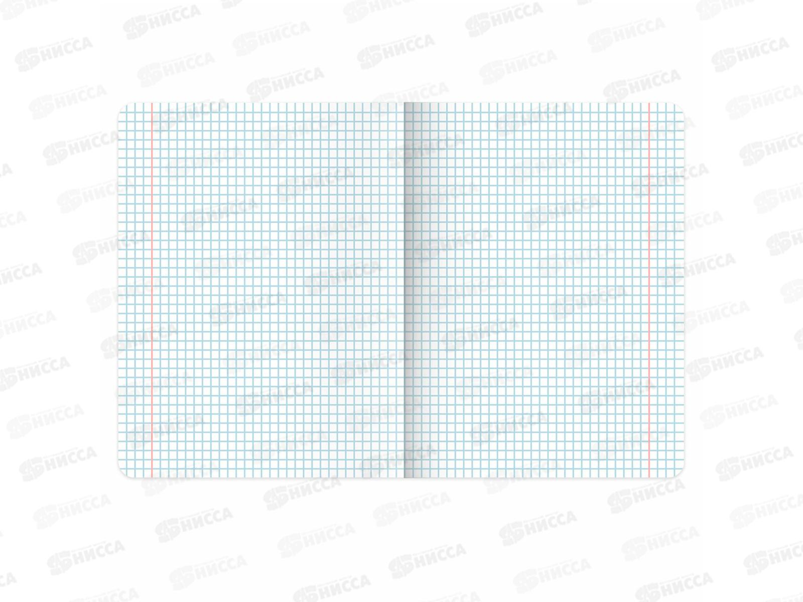 Тетрадь 12л кл. BRAU Зверушки, мел., 107264 *25/300