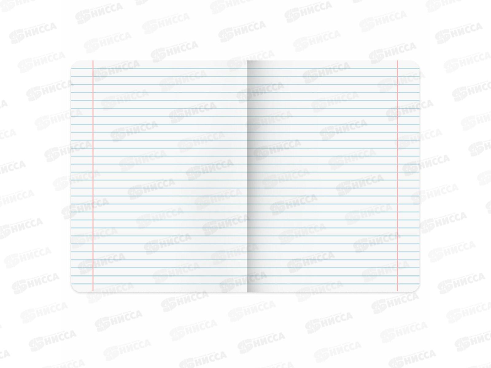 Тетрадь 12л лин. BRAU Зверушки, мел., 107287 *25/300