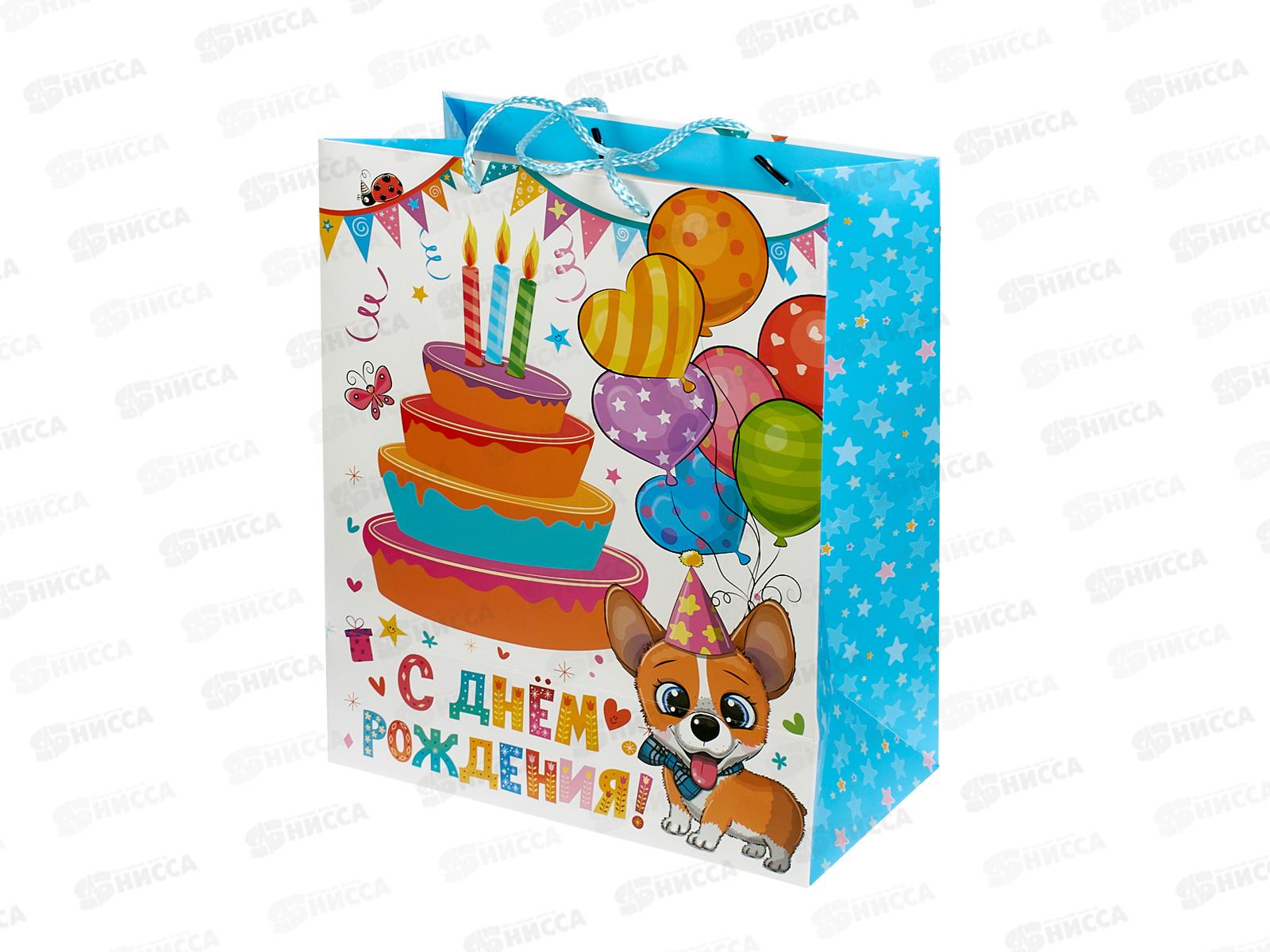 Пакет подарочный 26*32*14см с окошком детский, L, PWL-118365-НВ  *12