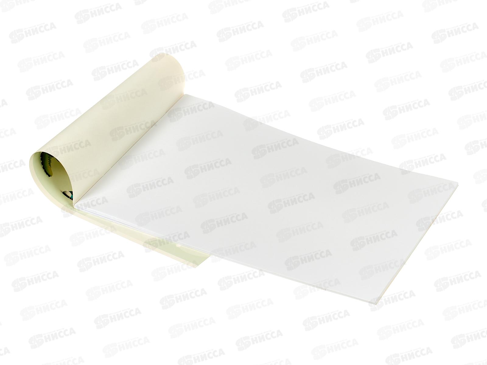 Альбом д/рис.24л schoolФОРМАТ Яркие зверята, АЛ24-ЯЗВ *48