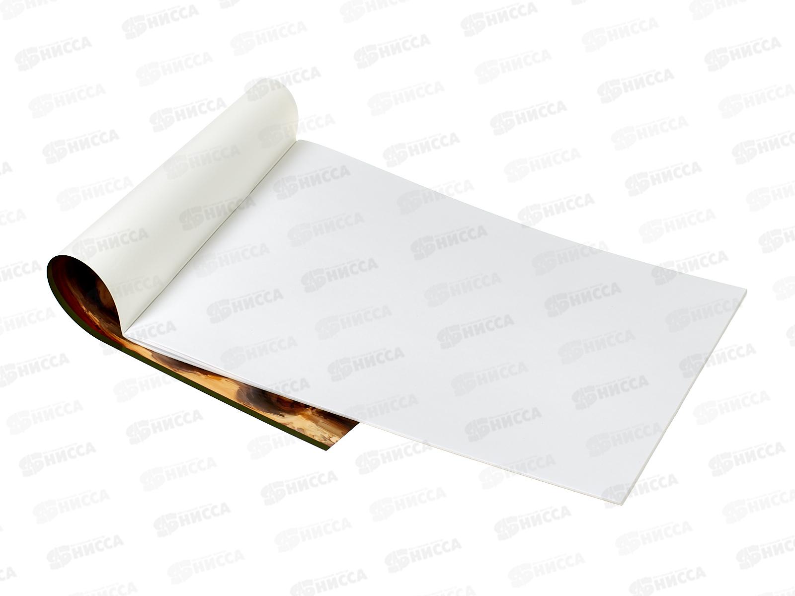 Альбом д/рис.24л Hatber ЗаМУрчачельные истории, на скобе 091481  *11