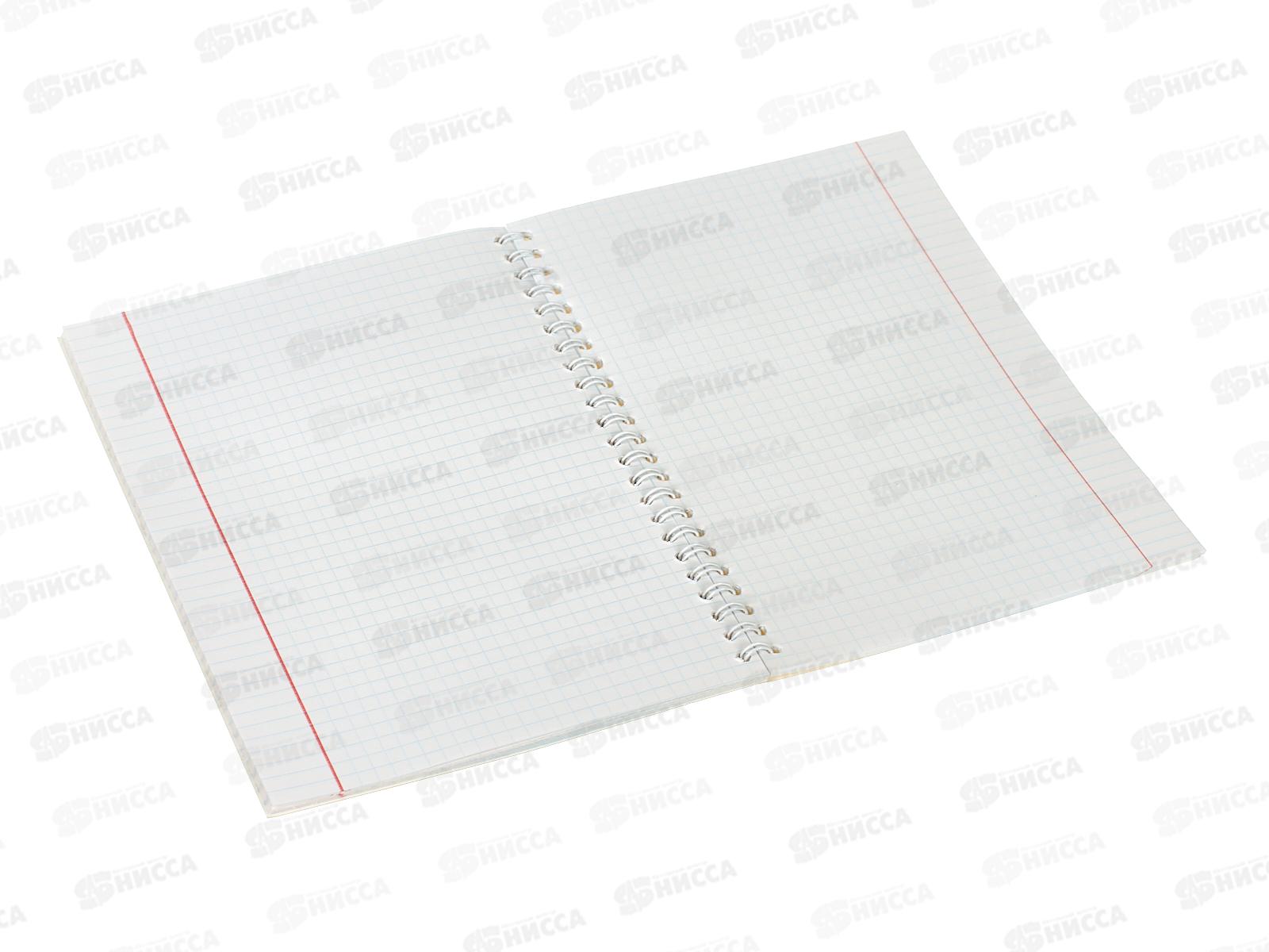 Тетрадь 40л кл. Апплика Веселые панды, греб. С0154-03  *80