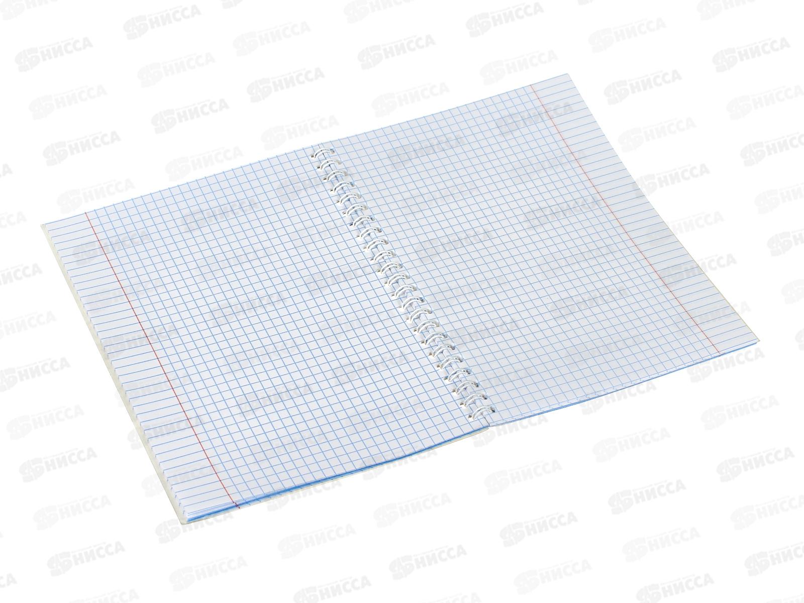 Тетрадь 48л кл. Апплика Россия. греб. С0152-155 *80