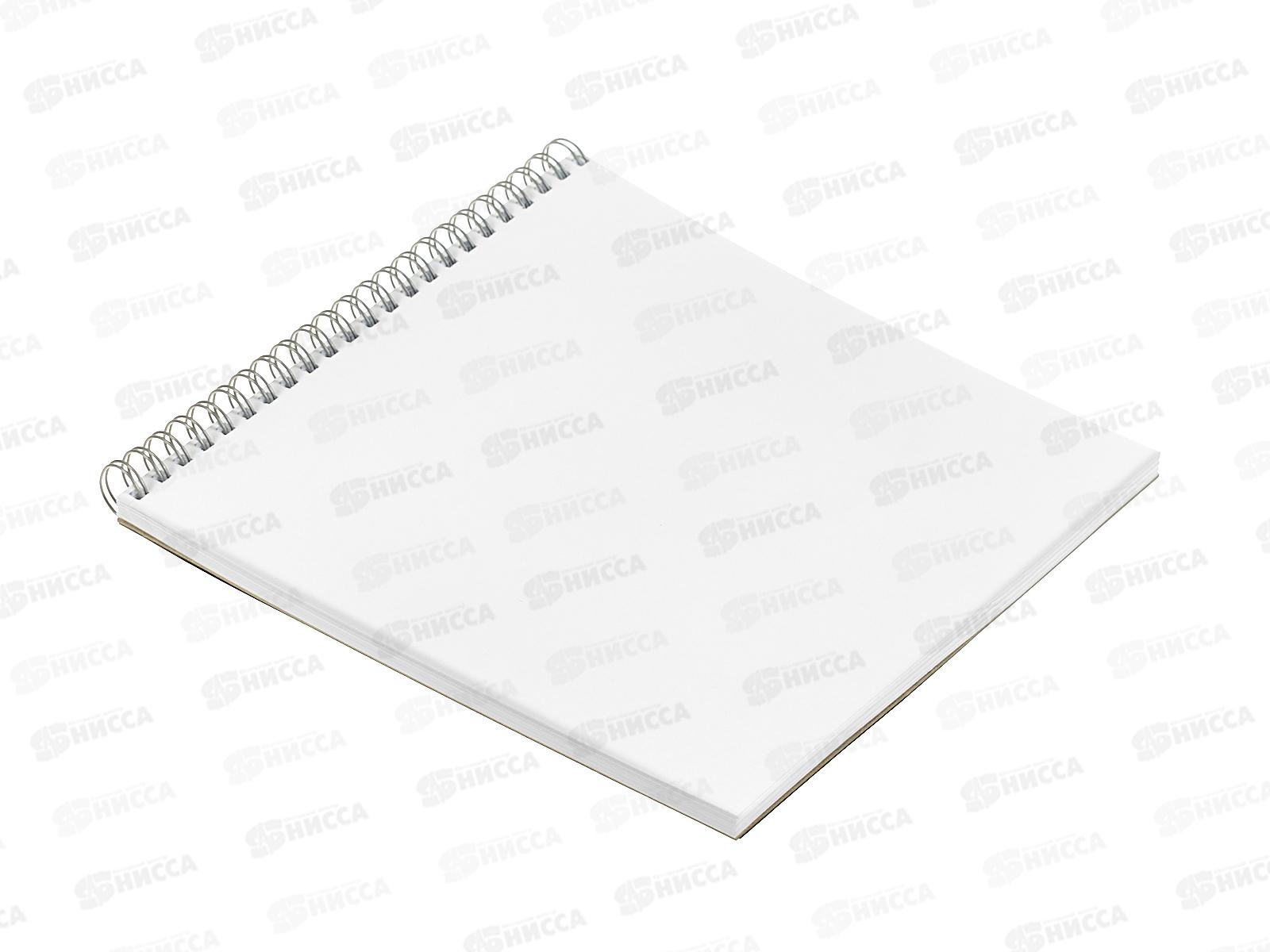 Скетчпад АКАД 40л Волк 195*195мм 14297-ЕАС *24