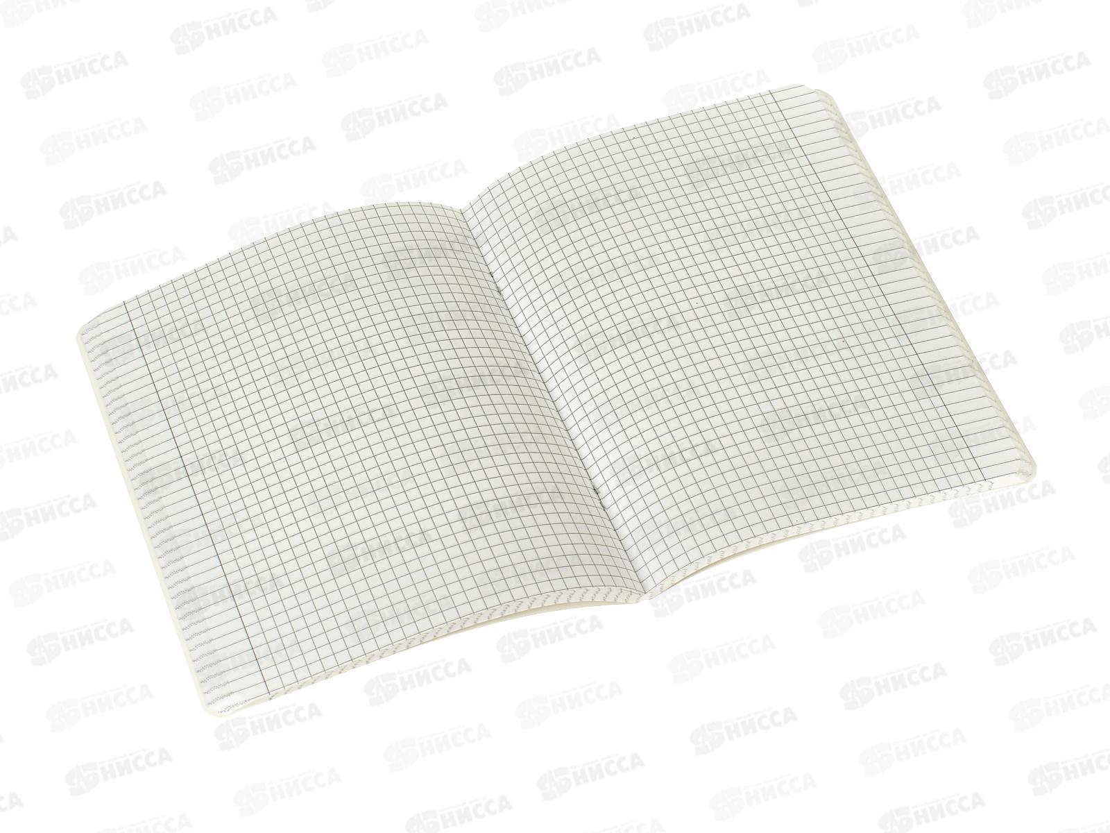 Тетрадь 96л кл. АКАД Огненная пантера 15194/5-ЕАС *10/30