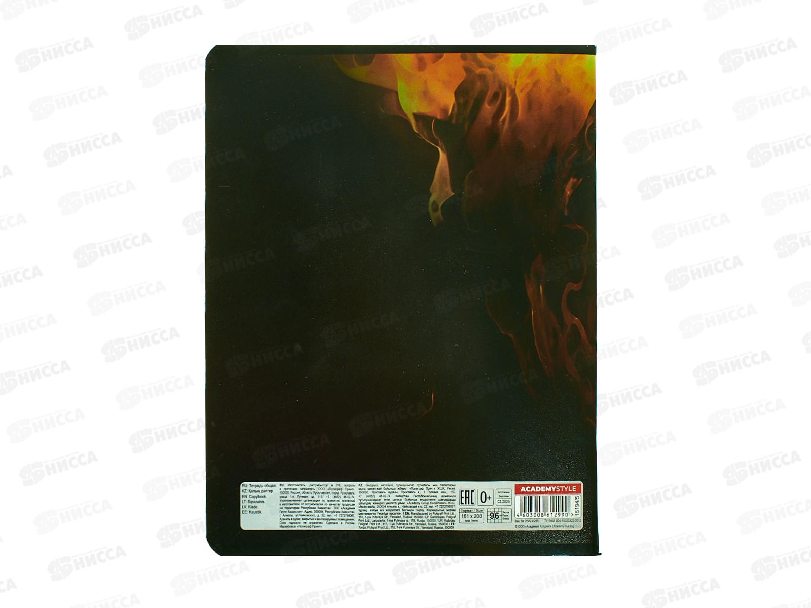 Тетрадь 96л кл. АКАД Огненная пантера 15194/5-ЕАС *10/30