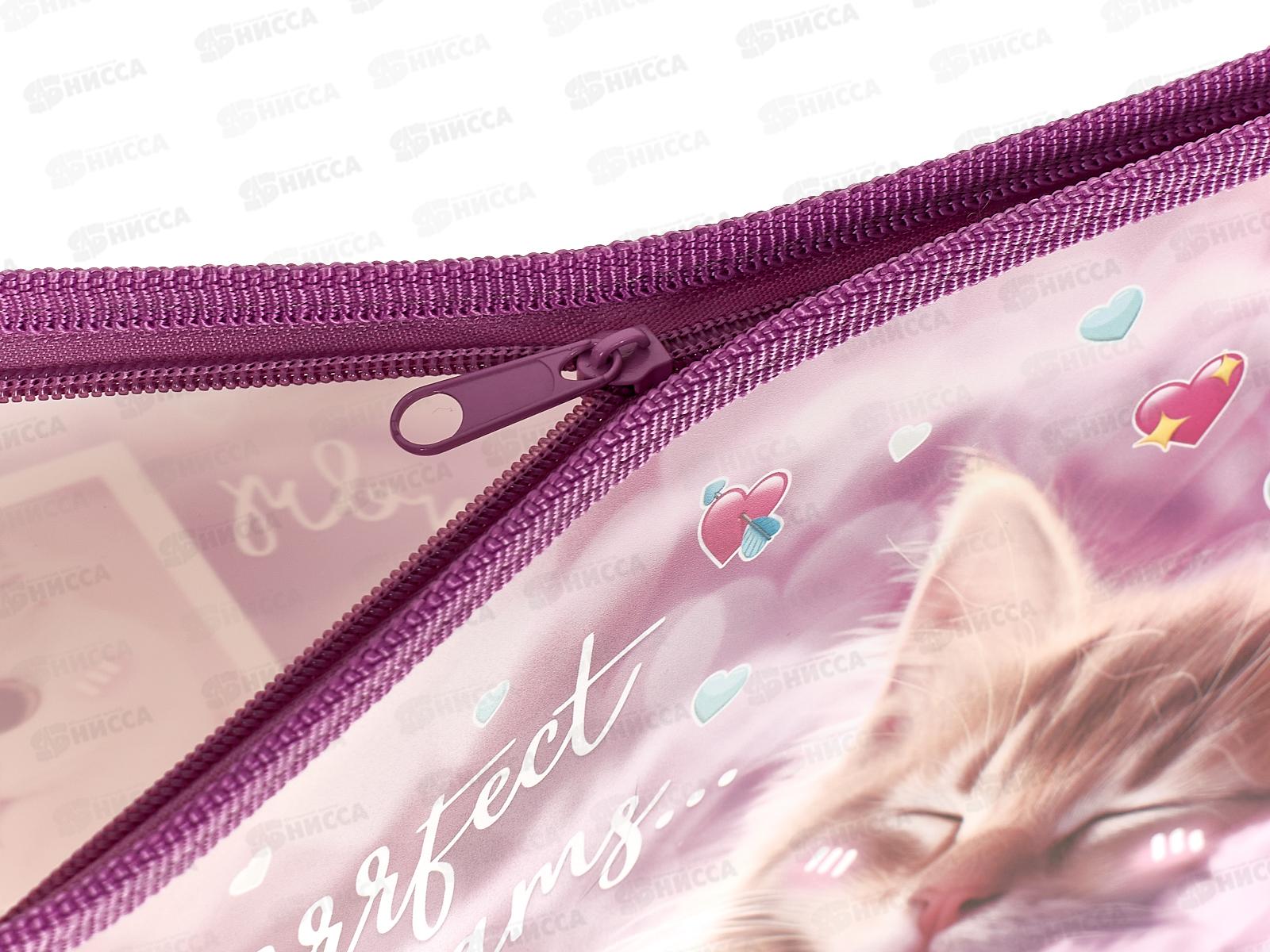 Папка д/тетр. ХАТ А4 1отд. Мяу-Стори, молн., 03036 *12