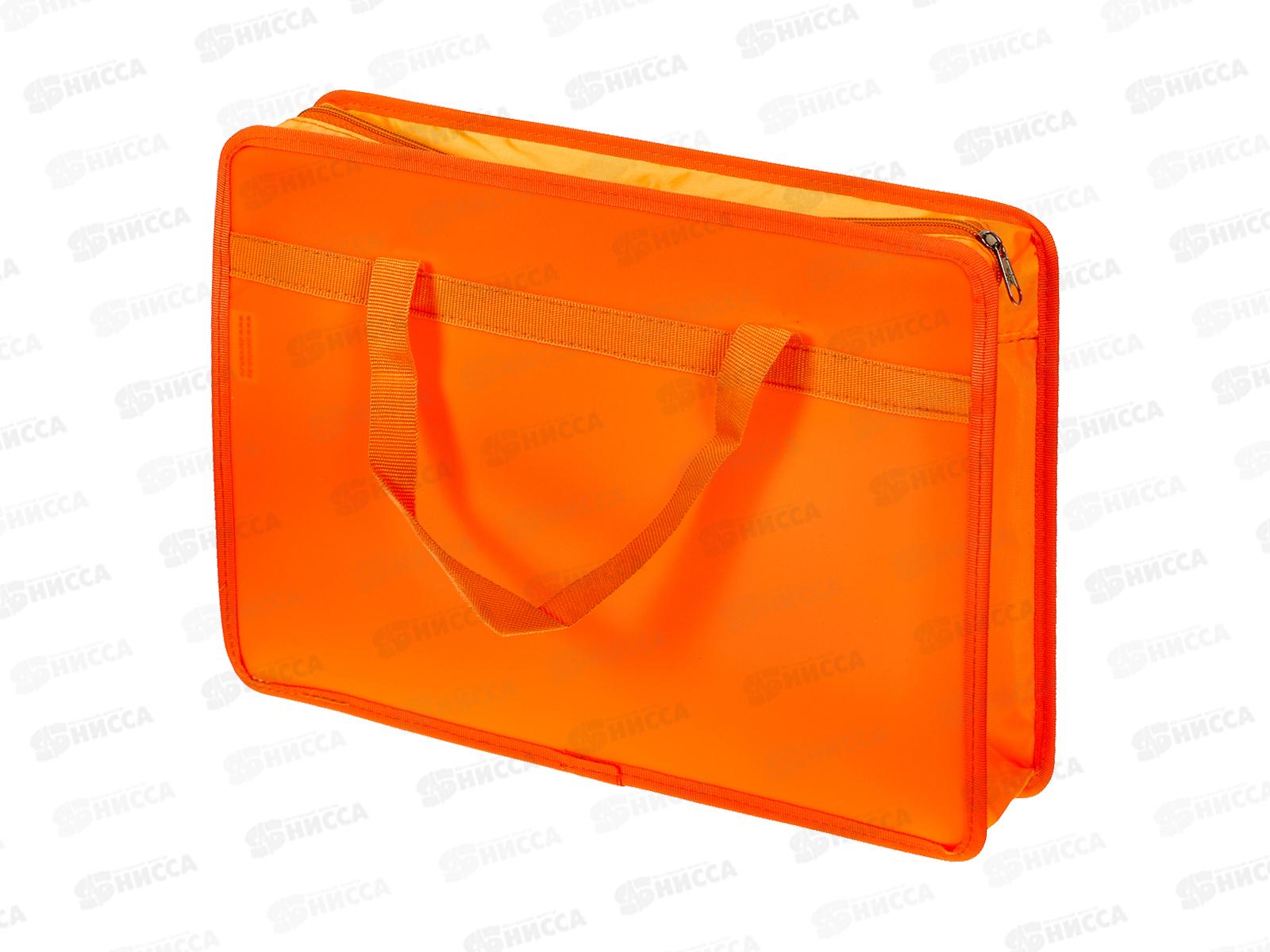 Папка дет. А4 с ручками Darvish Рыжий котенок DV-14113-15 *20