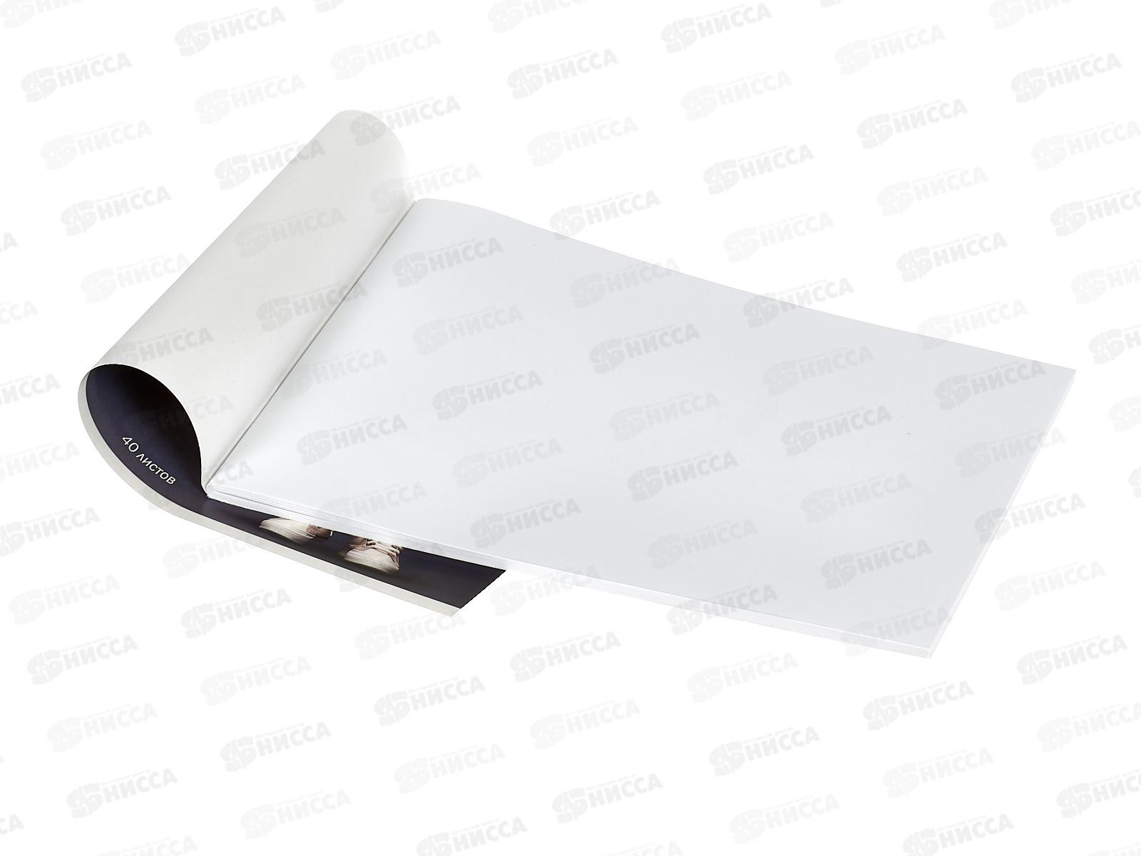 Альбом д/рис.40л ЭКСМ Банда котиков. мел.картон, скрепка.  АЛ402602 *3