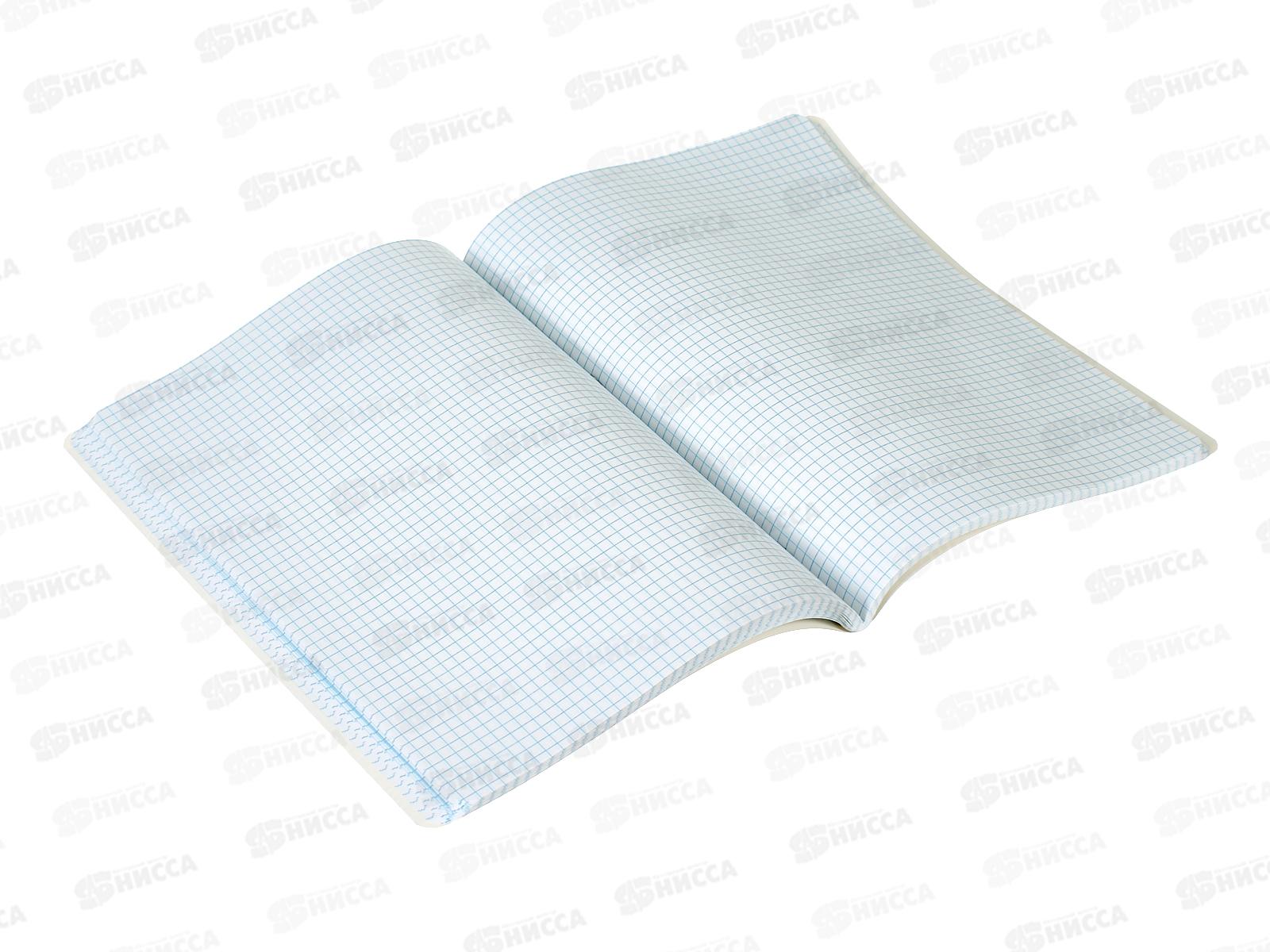 Тетрадь 96л кл. ЭКСМ А4 Сияние, ТЛ4965160 *5/30