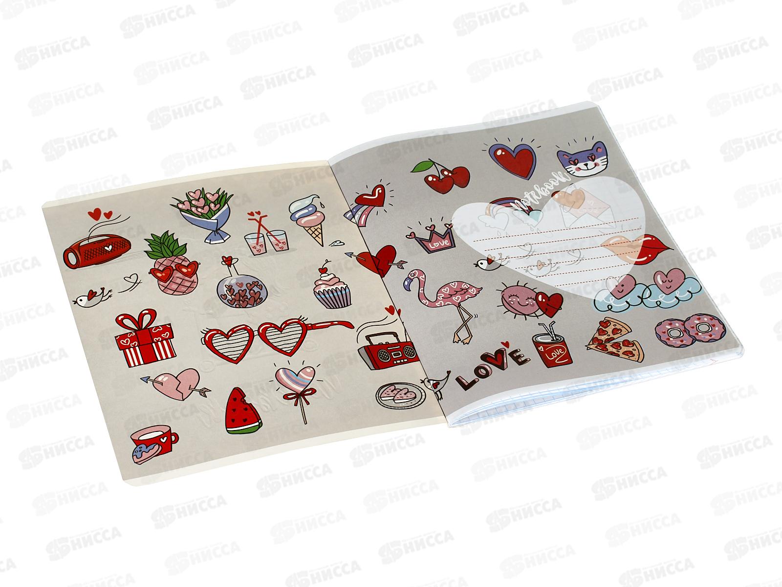 Тетрадь 48л кл. ПЗБМ Это любовь,027360*5/50