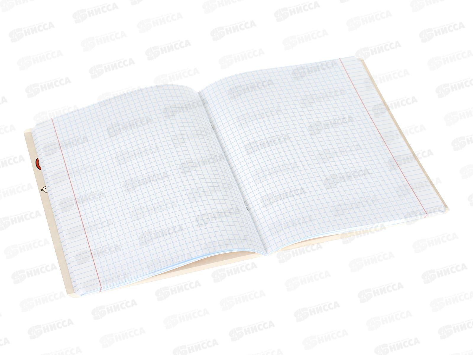 Тетрадь 48л кл. ПЗБМ Это любовь,027360*5/50