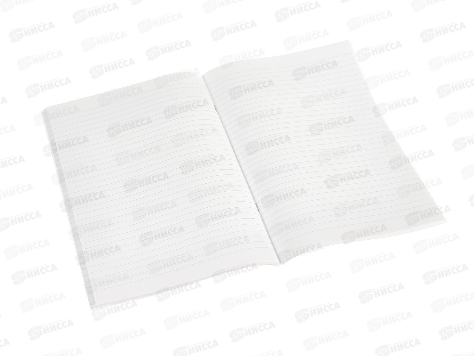 Тетрадь 80л лин. ПЗБМ А4 Фруктовый коктейль, 028080 5/30