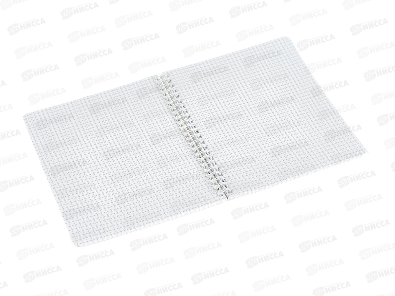 Тетрадь 80л кл. ПЗБМ Подождите,я записываю!,025076*4/40