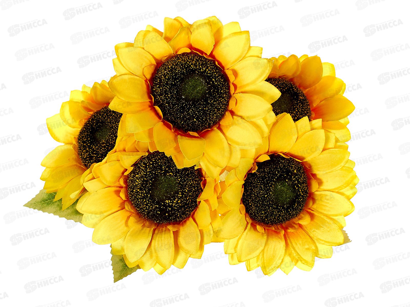 Букет 45см 5 гол №Х-6  81354 *2/20  Б