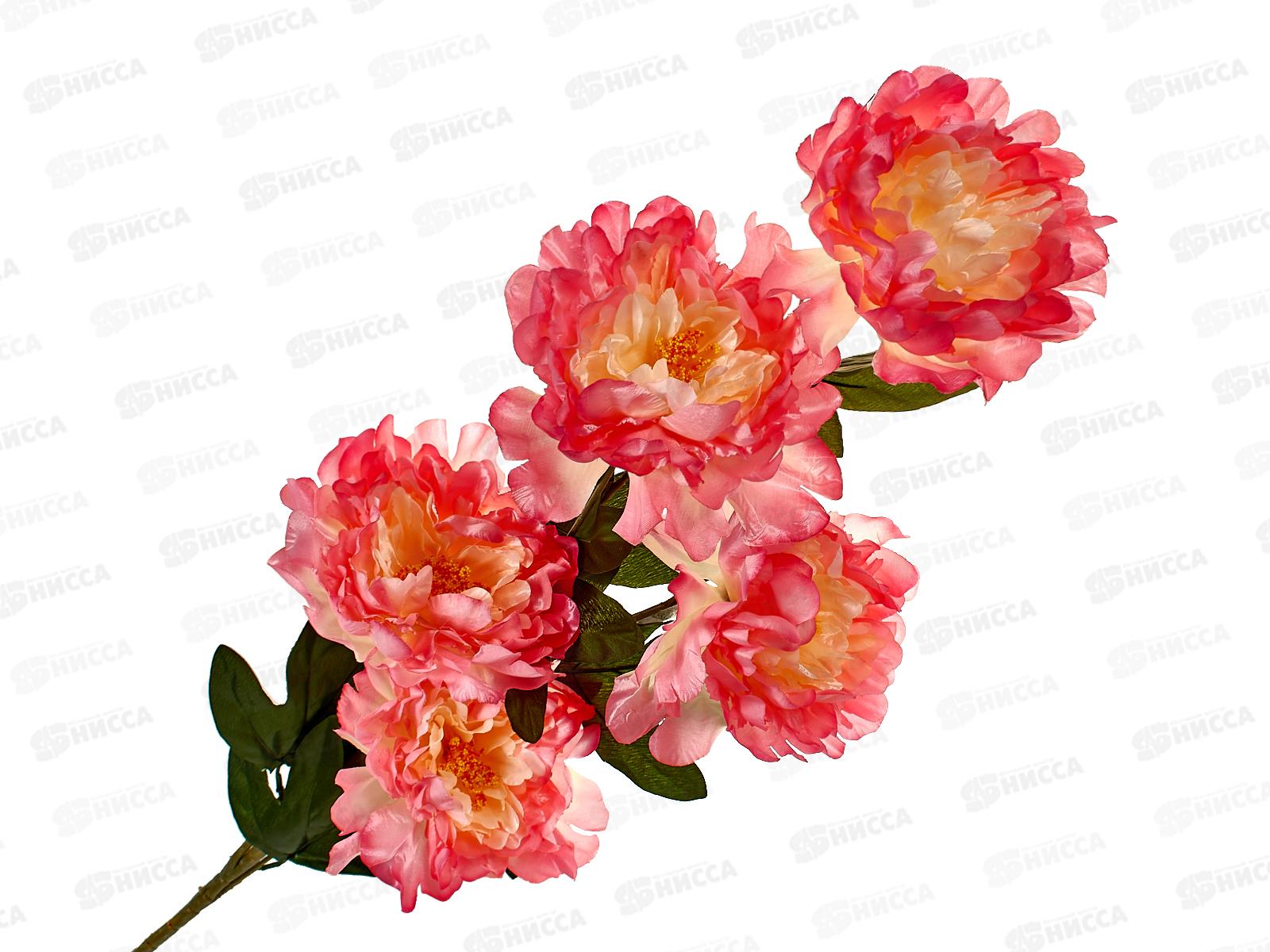 Букет 120см 5гол №103 81144  *1*20  Б