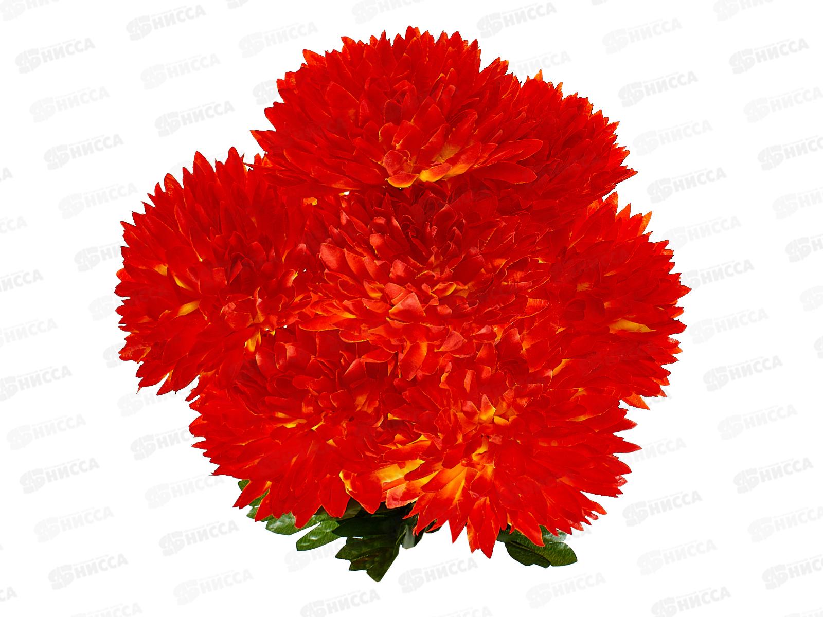 Букет 60см 7гол №251 81243 *10  Б