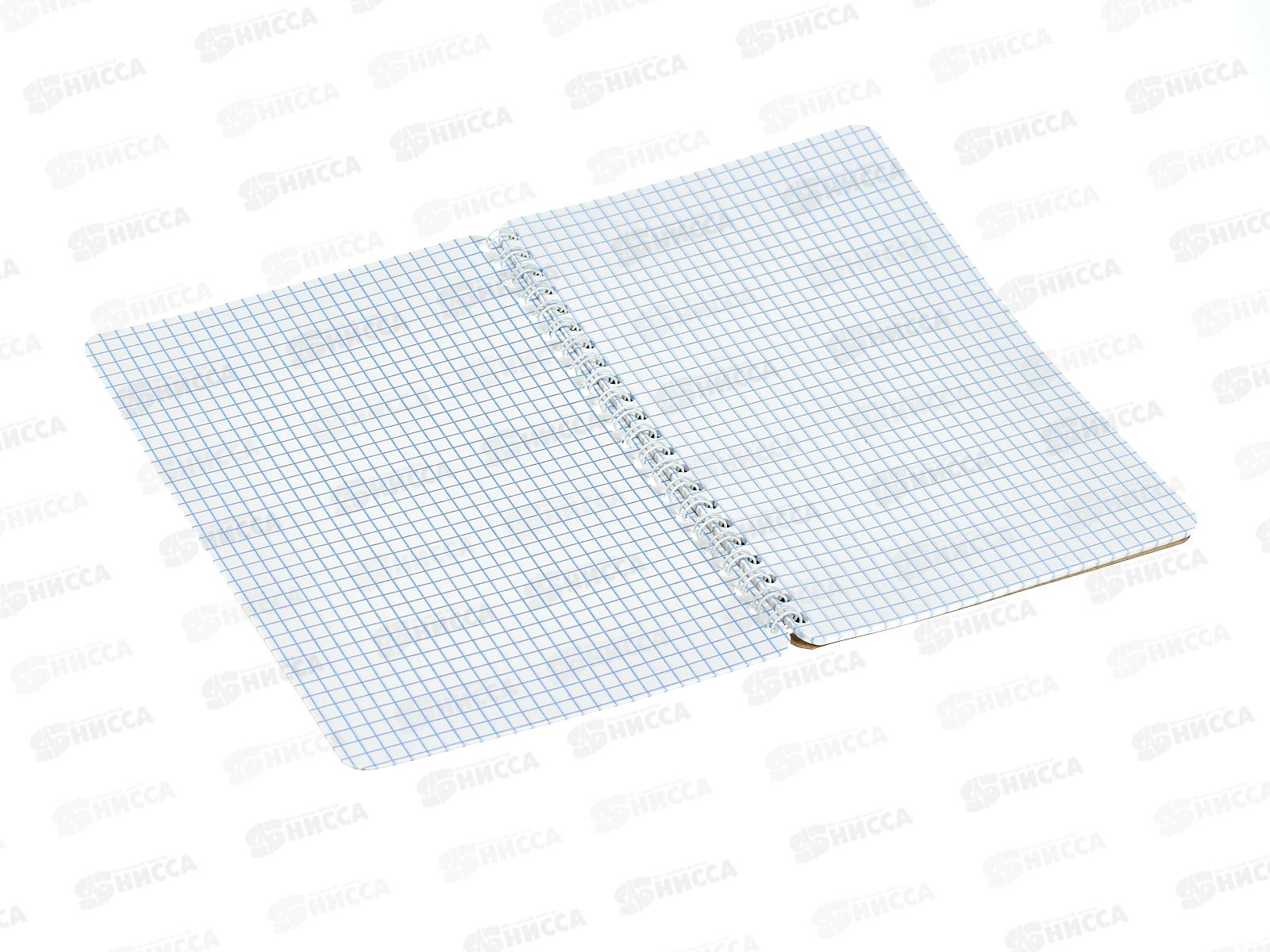 Записн.книжка  Апплика А5, Милый ёжик  40л., С0859-85 *24