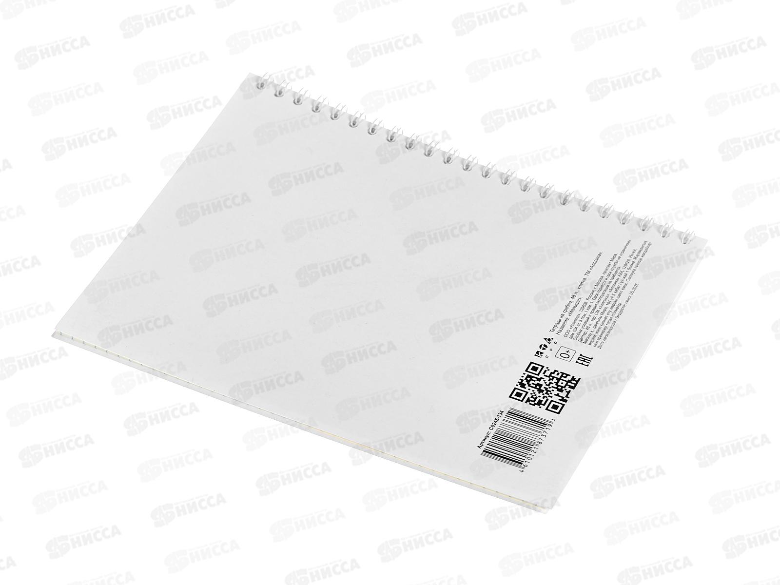 Тетрадь 48л кл. Апплика Малыши ,греб.  С0245-134  *80