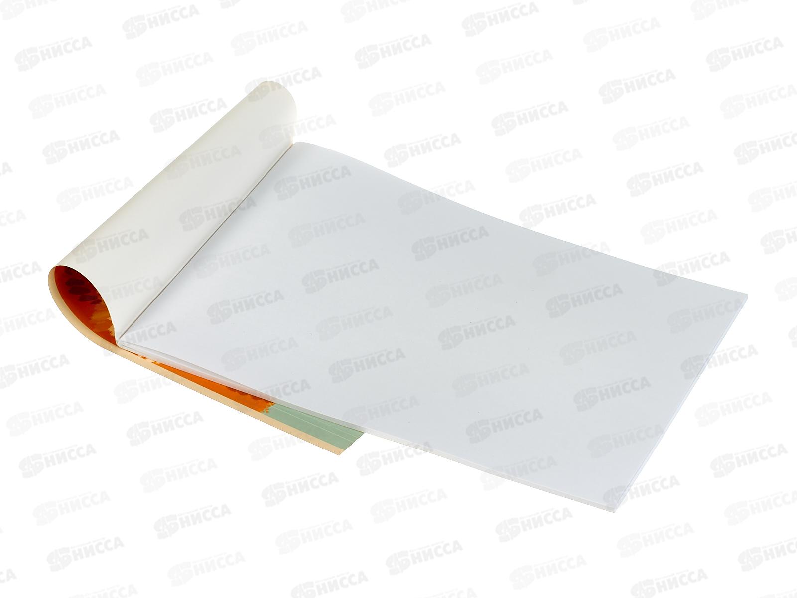 Альбом д/рис.30л ЭКСМ Рыжий кот. скрепка. мел.картон  АЛ302547 *50