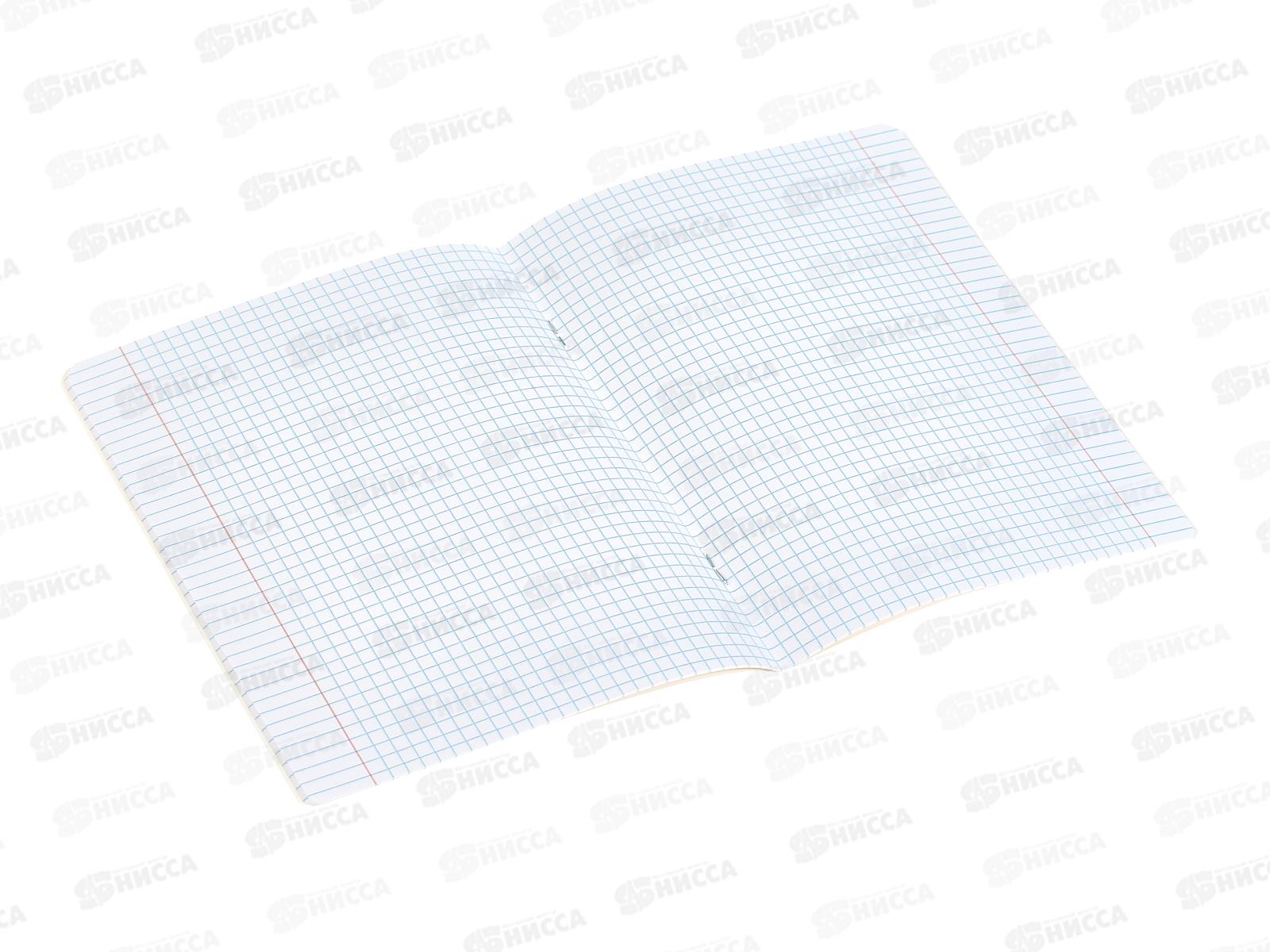 Тетрадь 18л кл. АКАД Подружки. EAC-14335/5 *20