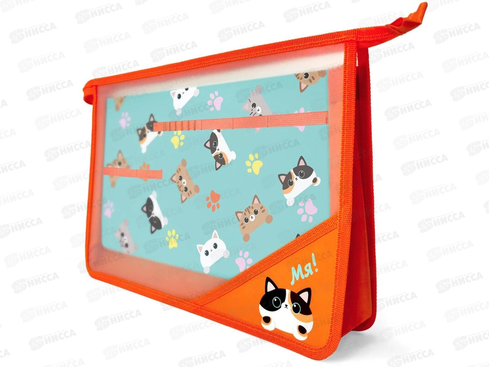 Папка д/труда Lamark Мя! пласт. с ручками 0050-50-04*20