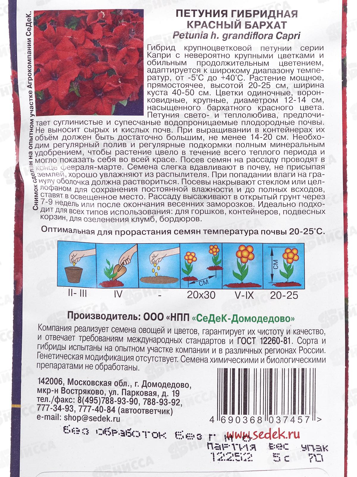 Петуния Красный Бархат F1 (крупноцветковая, красная) (Евро,5) СеДек *10 +