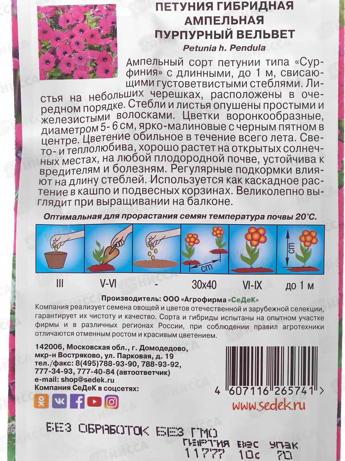Петуния Пурпурный вельвет F1 (ампельная, тип Сурфиния, пурпурная) (Евро, 10) СеДек *10 +