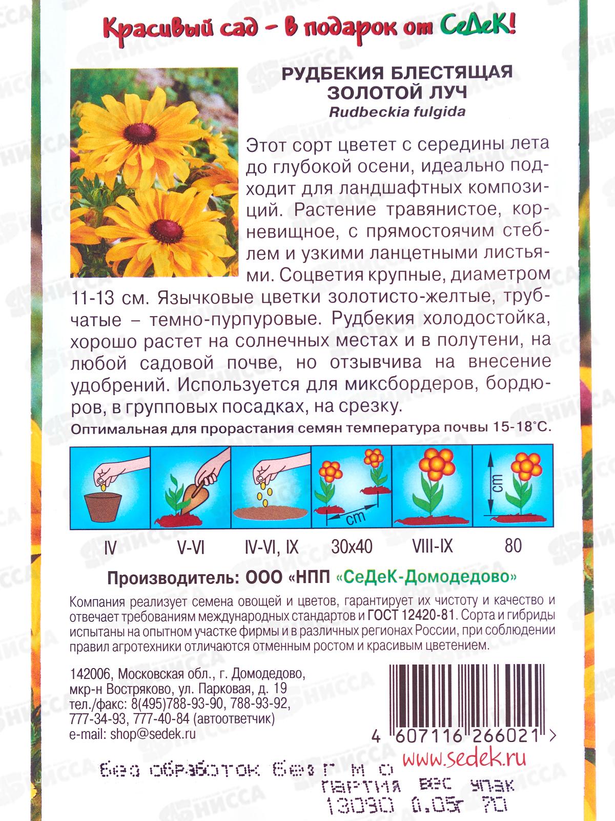 Рудбекия Золотой луч (блестящая, желтая) (Евро, 0,05) СеДек *10 +