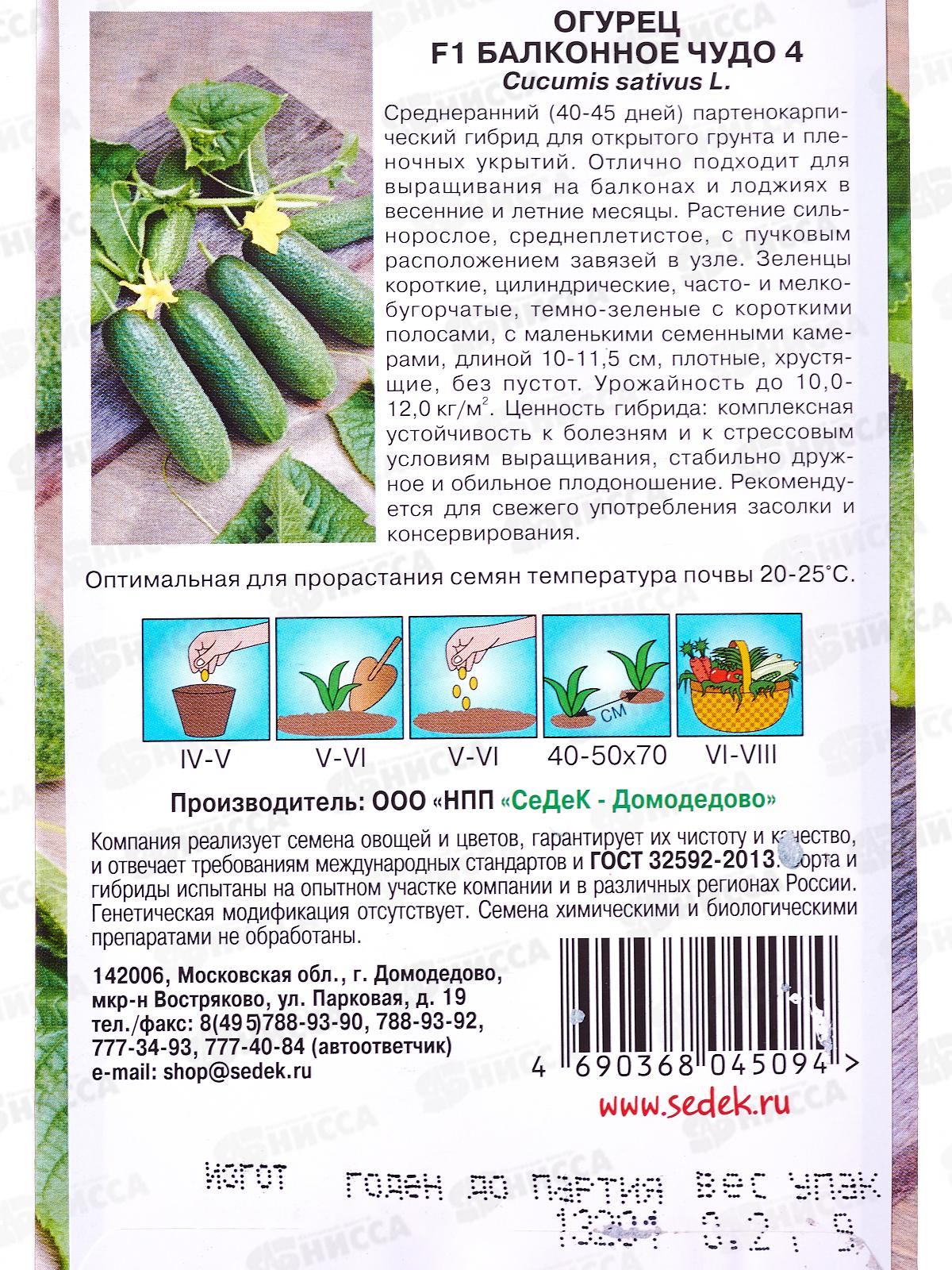 Огурец Балконное Чудо 4 F1 (Евро, 0,2) СеДек *10