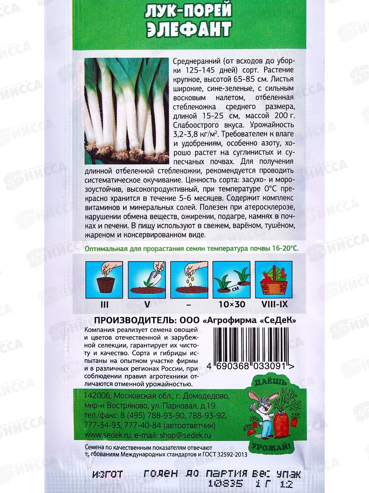 Лук Элефант МС порей ДУ (Евро, 1) СеДек *10 +