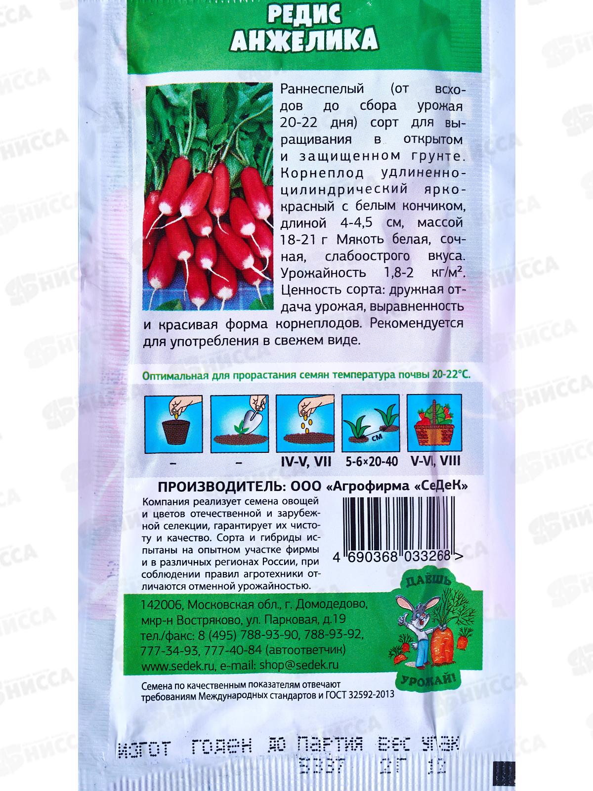 Редис Анжелика ДУ (Евро, 2) СеДек *10 +