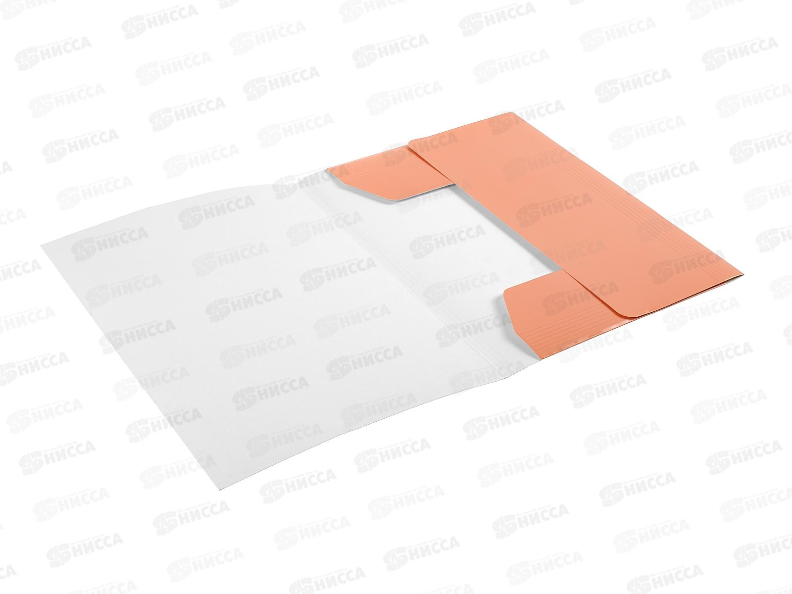 Папка на рез.  А4 LAMARK Delight Time ,мускатная дыня 110-CN *24