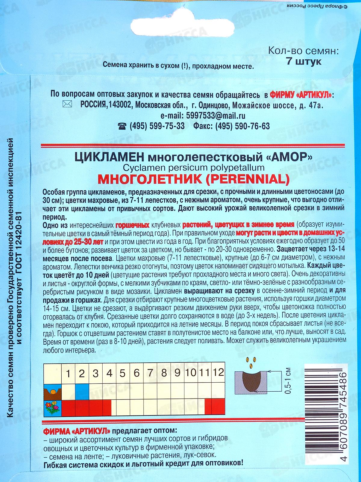 Цикламен перс Амор 7шт  цв/п *10  АРТ +