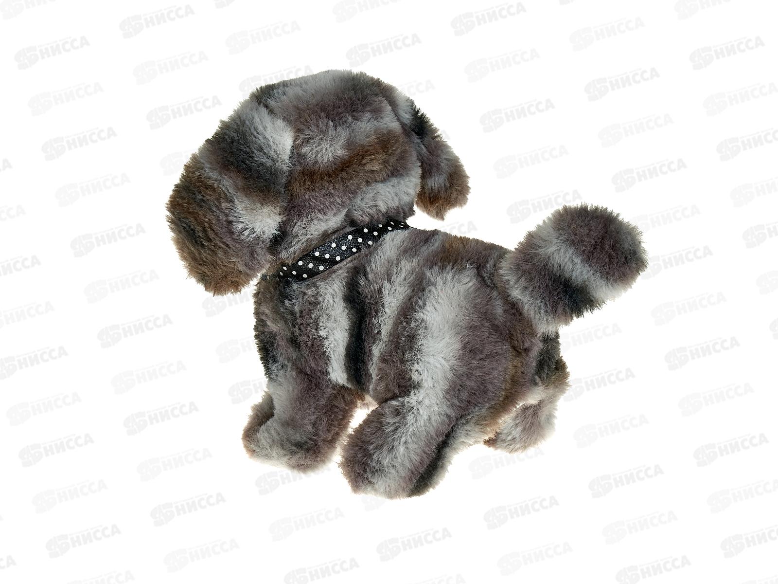 Собака Барбадос механическая 16см 4208, 386261  гб