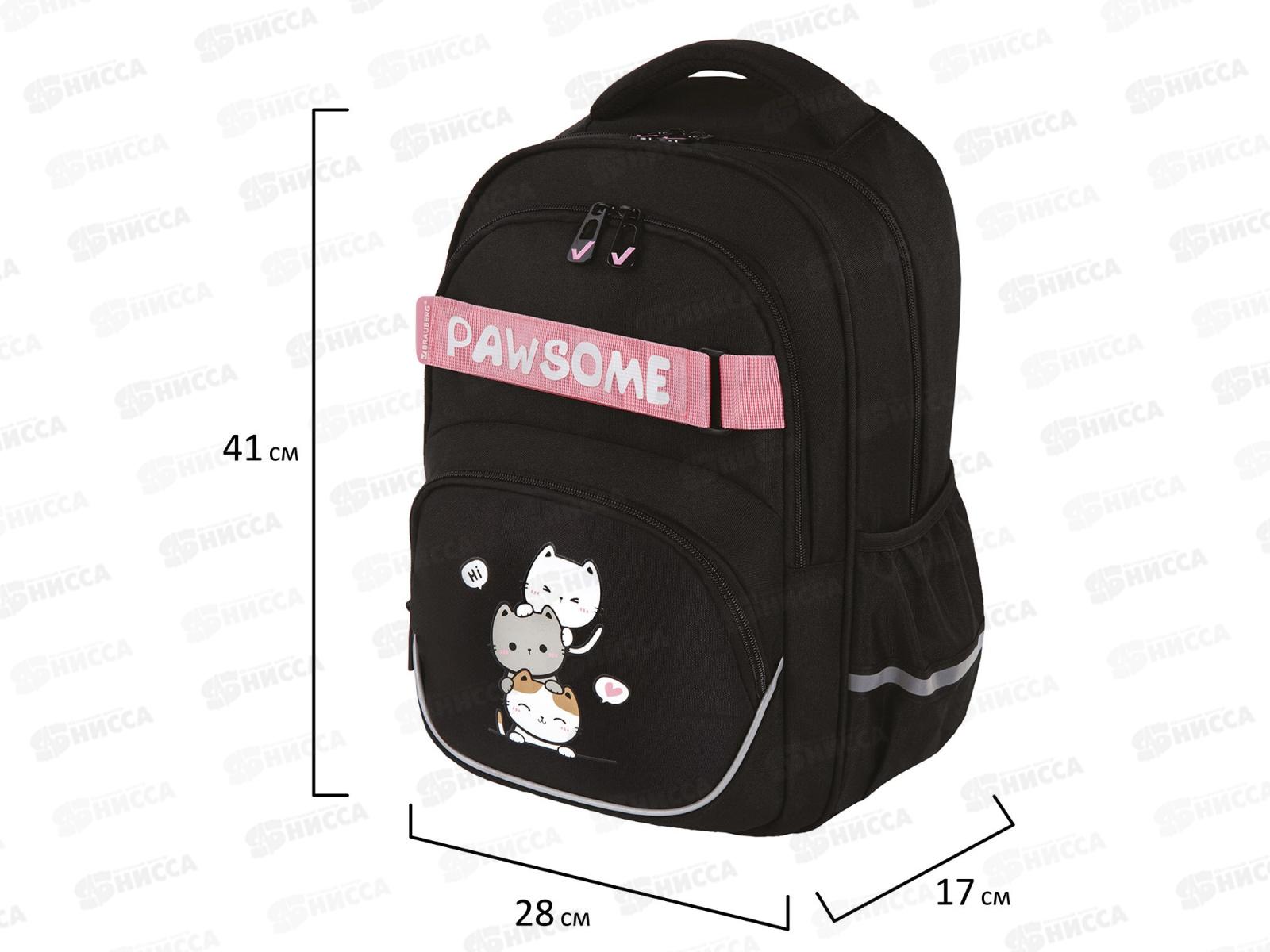 Рюкзак BRAU Motion 41*28*17см, Cat tower  2отд.  272033 *20