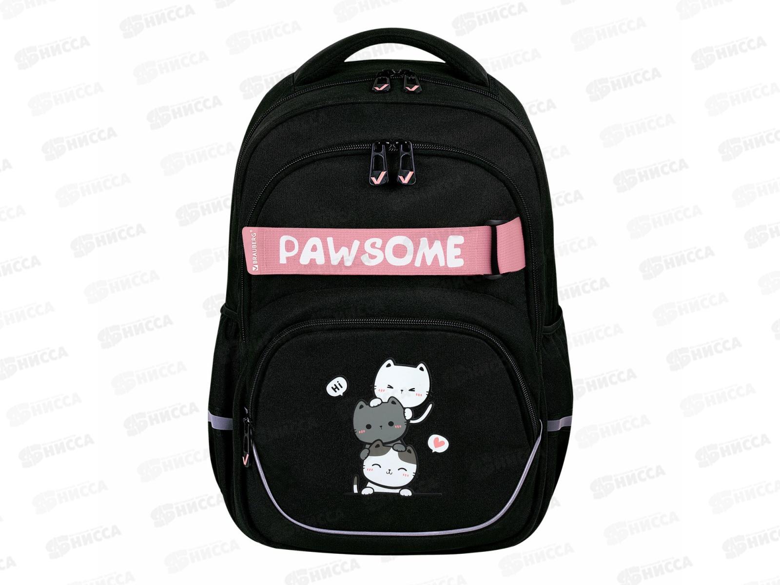 Рюкзак BRAU Motion 41*28*17см, Cat tower  2отд.  272033 *20