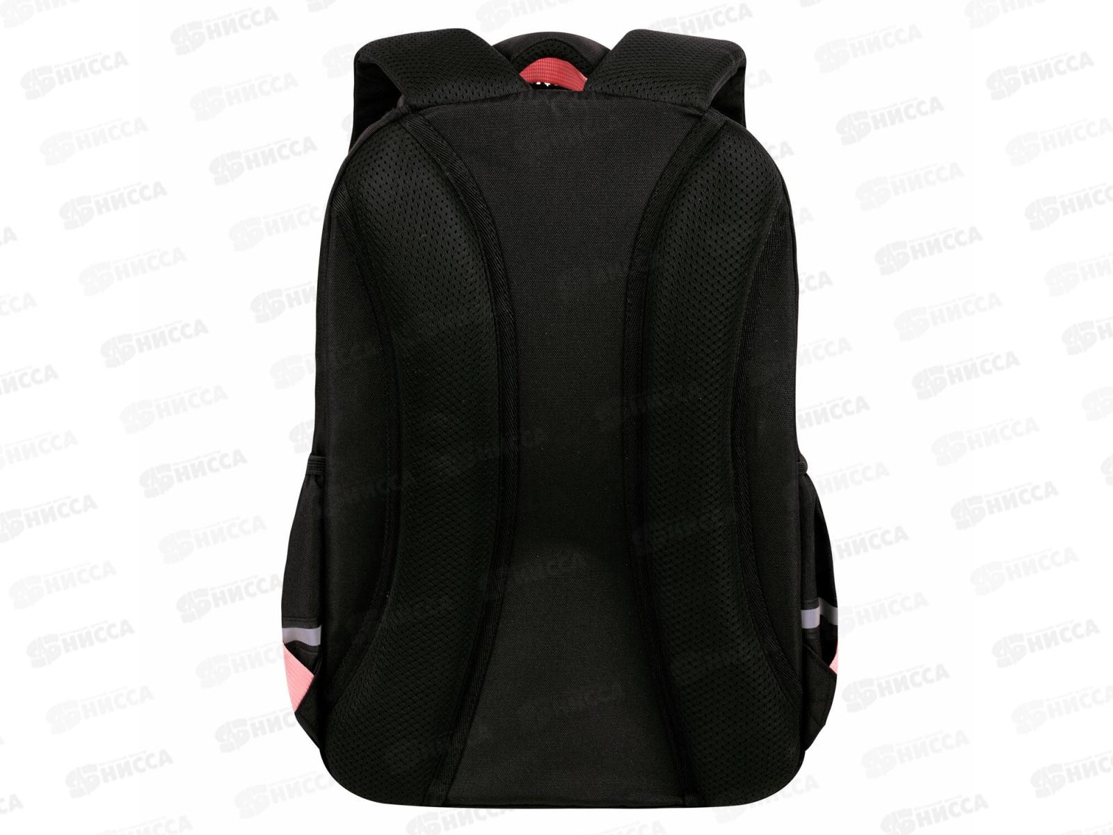 Рюкзак BRAU Motion 41*28*17см, Cat tower  2отд.  272033 *20