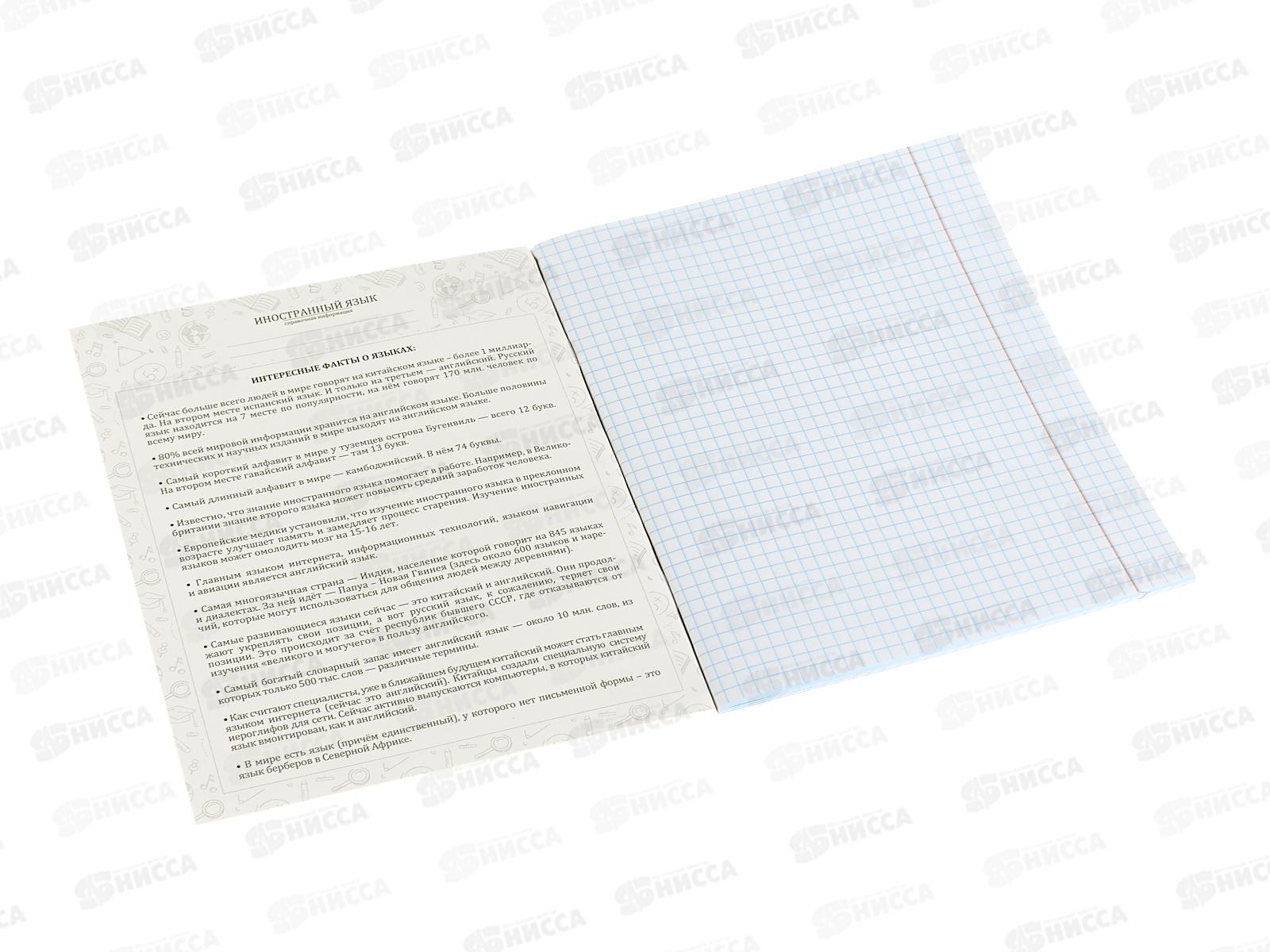 Тетрадь 48л кл. ПП &quotНа уроке&quot Иностранный язык,  48-2369 софт-тач  *80