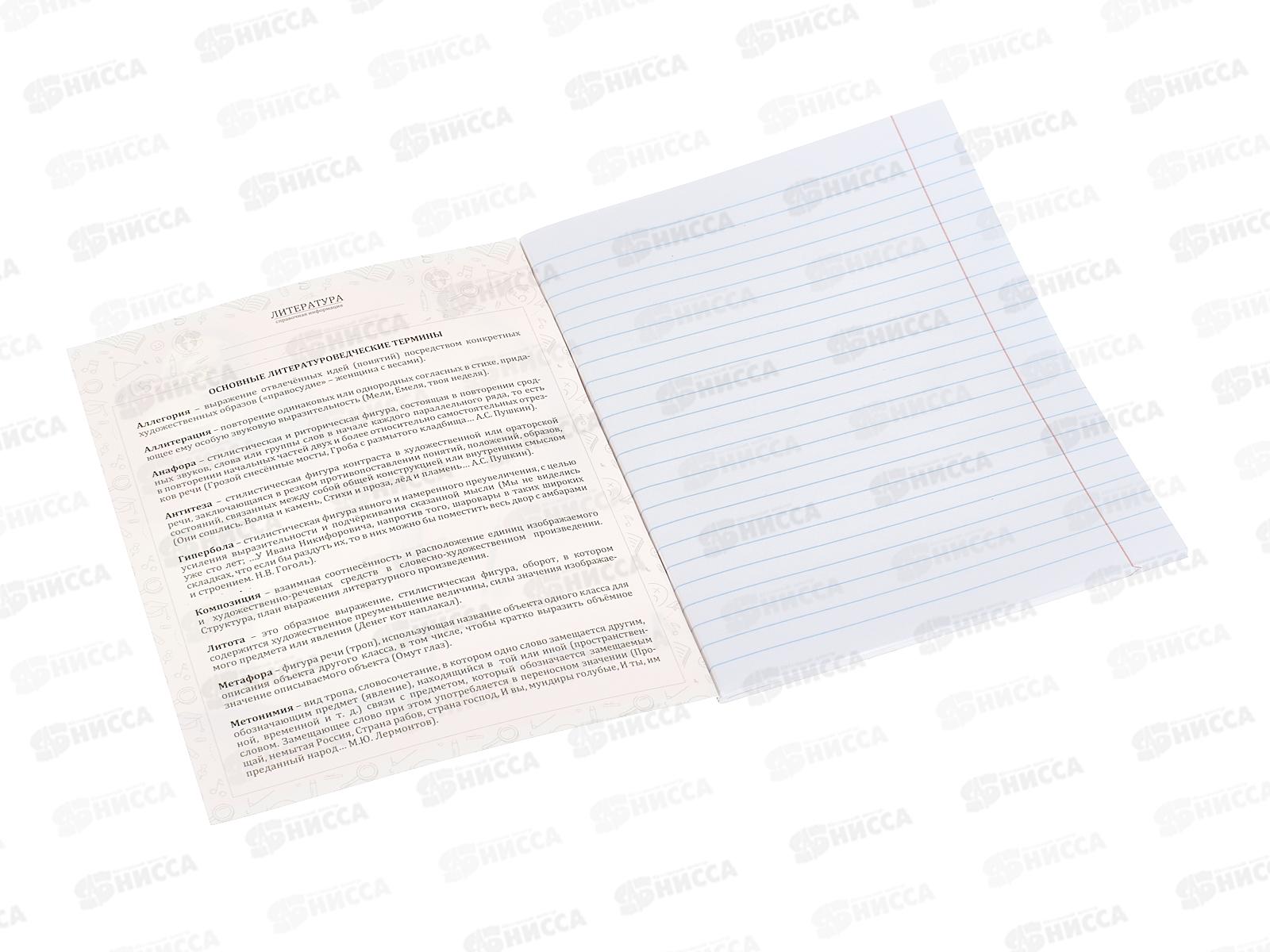 Тетрадь 48л линия ПП &quotНа уроке&quot Литература, 48-2378 софт-тач *10/80