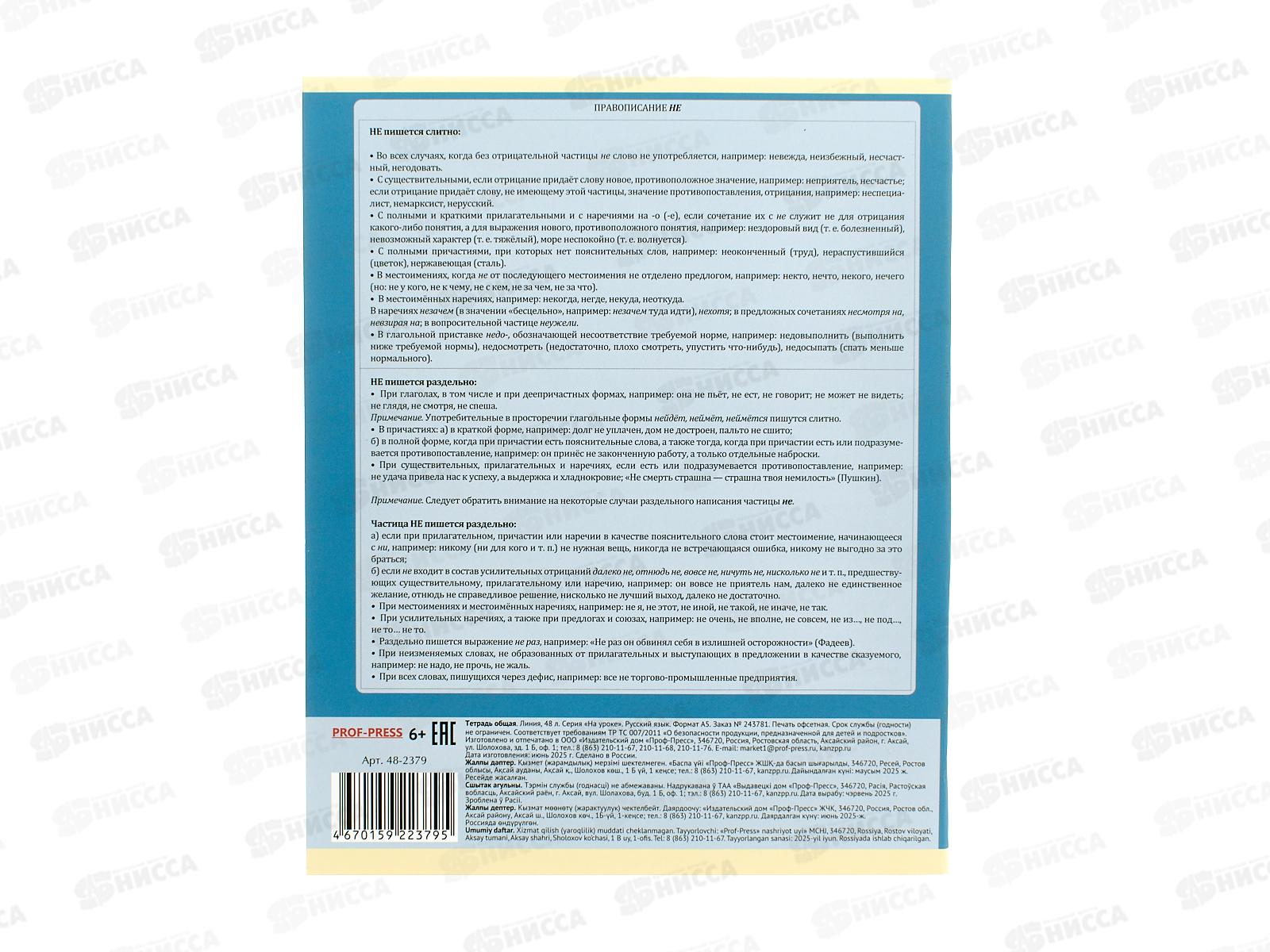 Тетрадь 48л линия ПП &quotНа уроке&quot Русския язык, 48-2379 софт-тач *10/80