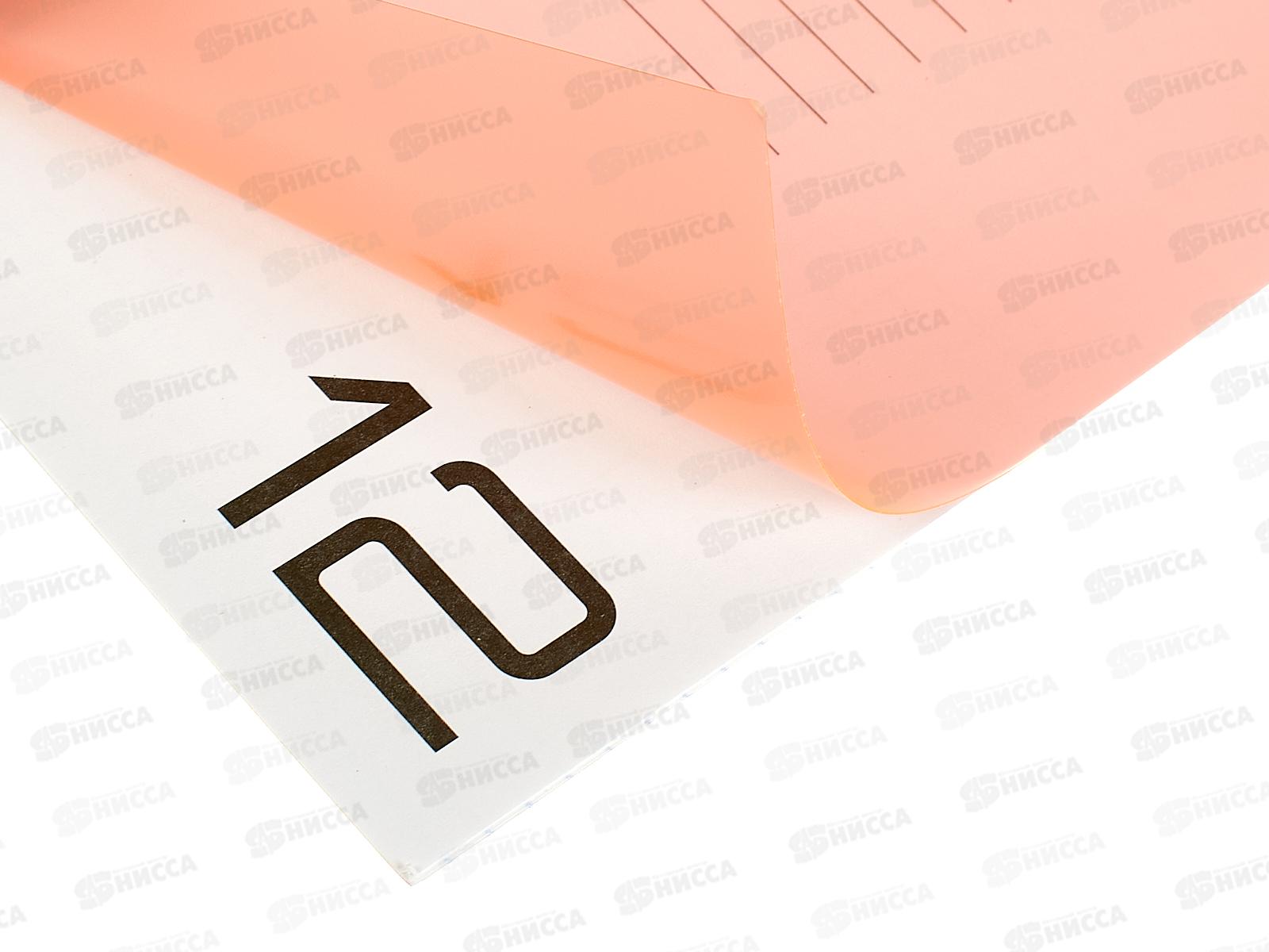 Тетрадь 12л кл. BG UniTone Neon ,пластик. обл. оранжевый 08895 *10/150