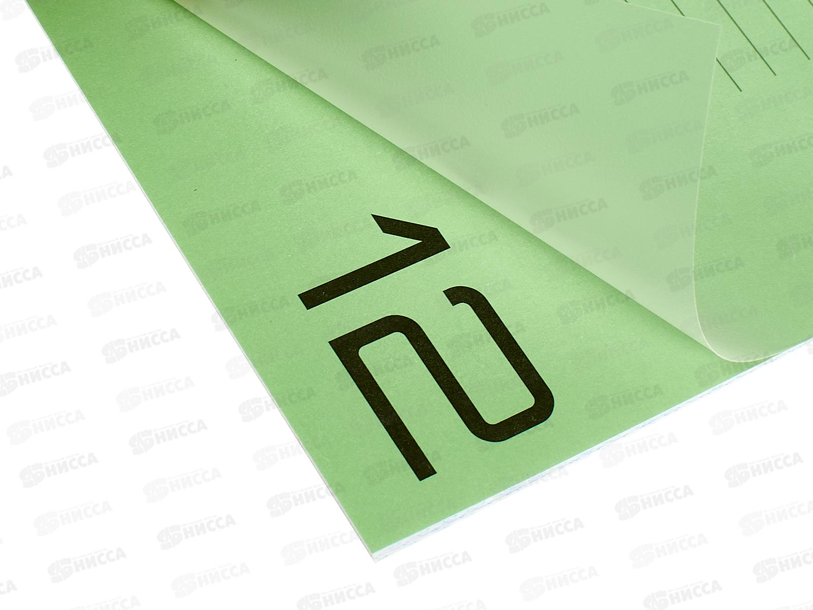 Тетрадь 12л частая кос.лин. BG UniTone Green пл. обл.прозрач.08901 *10/150