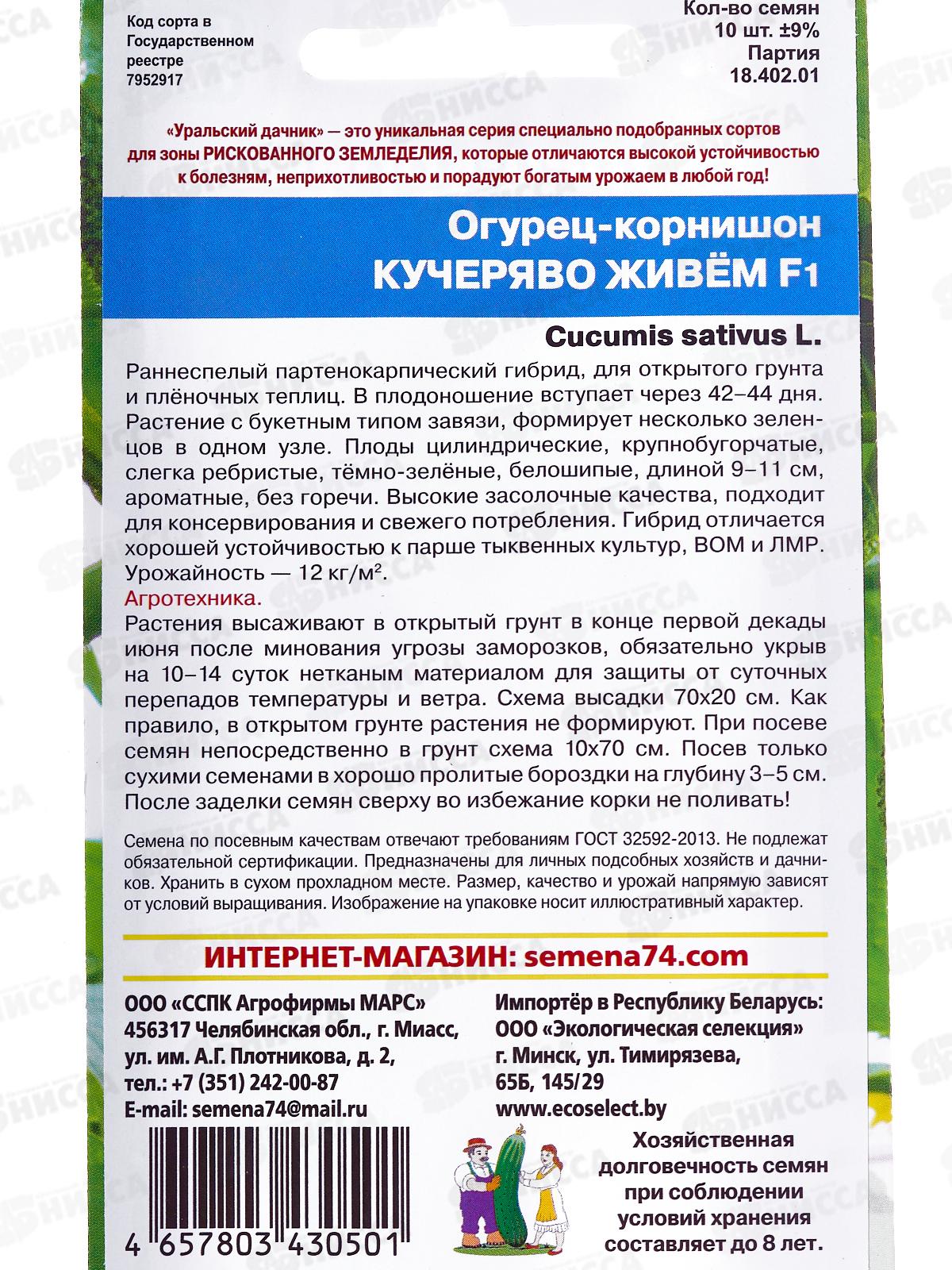 Огурец Кучеряво живем F1 корнишон Евро *10 УрД +