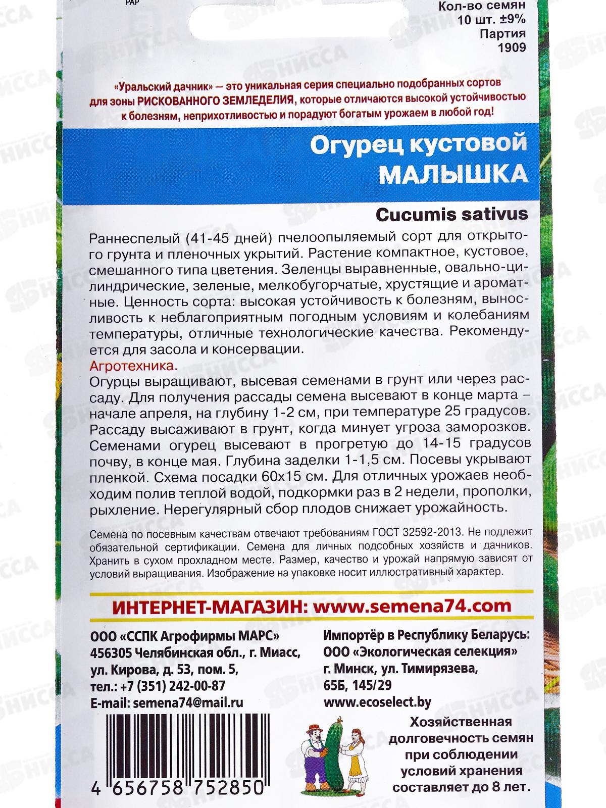 Огурец Малышка кустовой Евро *10 УрД +