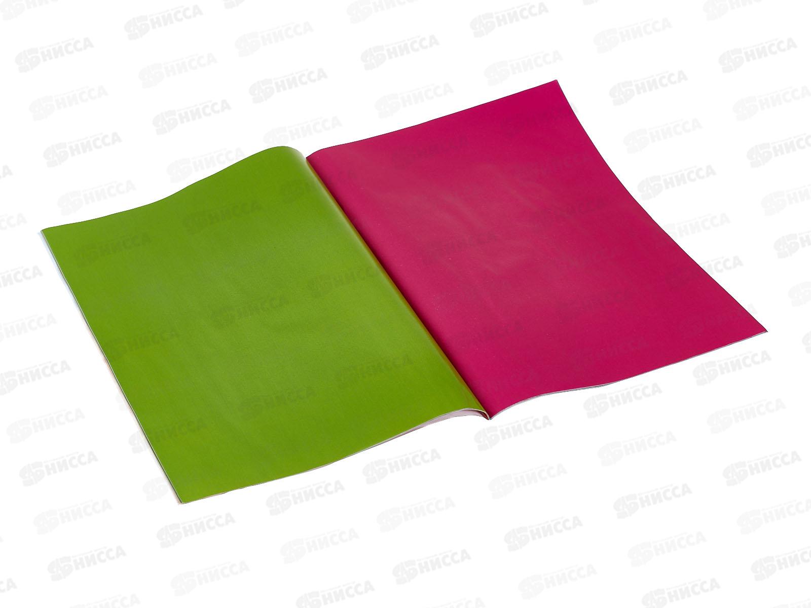 Цветная бум.  16л 16цв Апплика Черепашонок,С0947-35*60